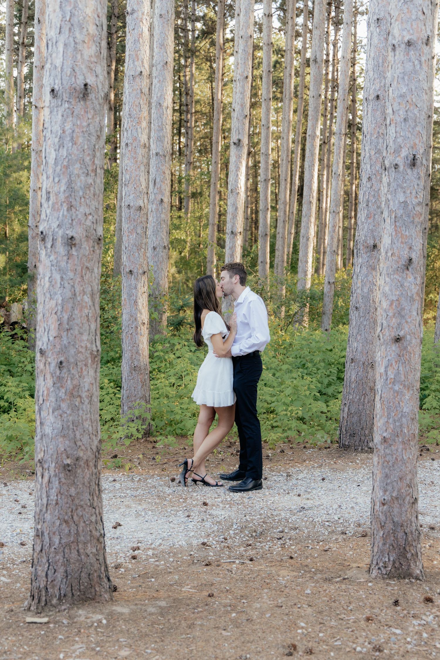 Golden-hour portrait of a couple embracing among tall trees at Pinewood in Cambridge, showcasing woodsy elegance.