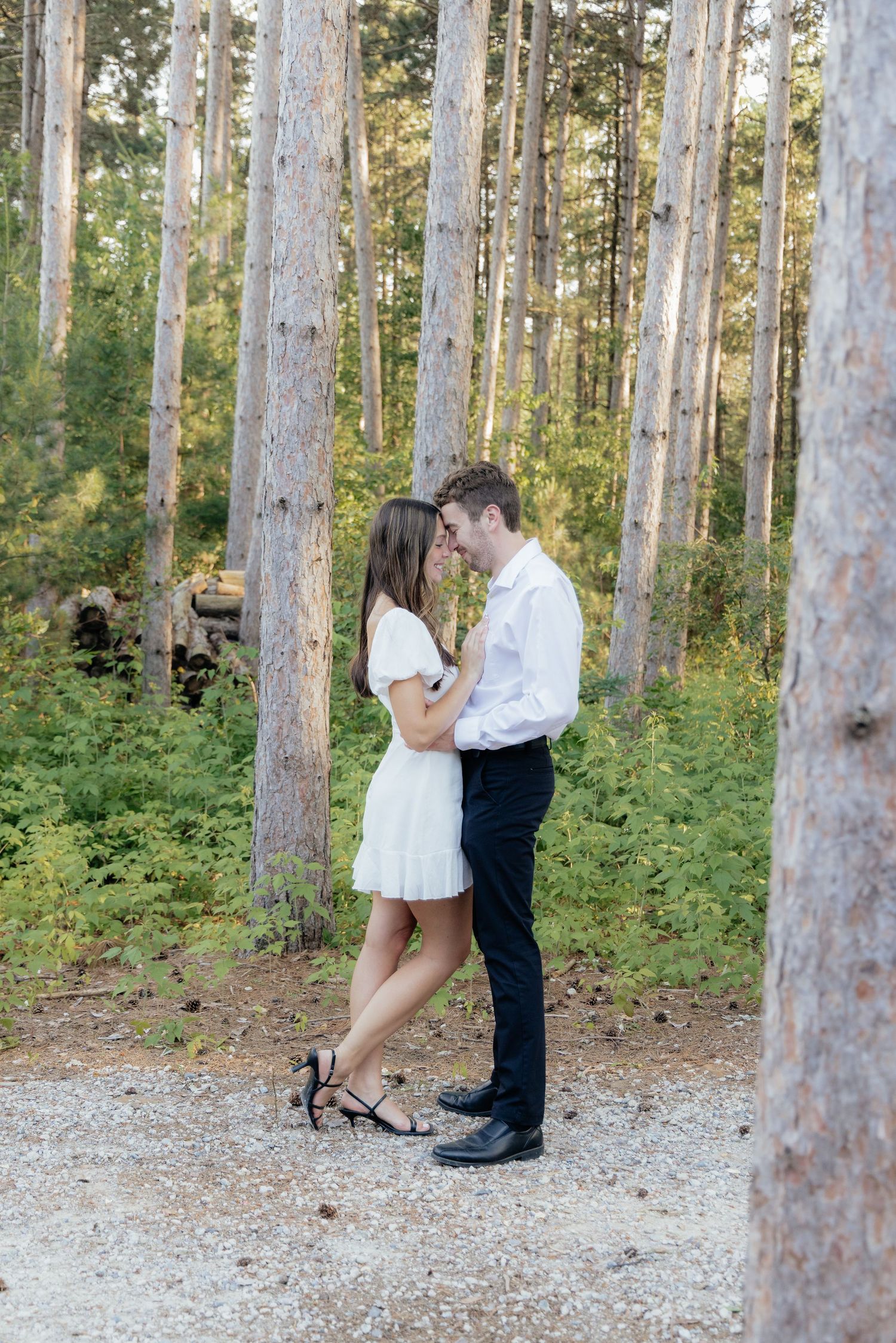 Golden-hour portrait of a couple embracing among tall trees at Pinewood in Cambridge, showcasing woodsy elegance.