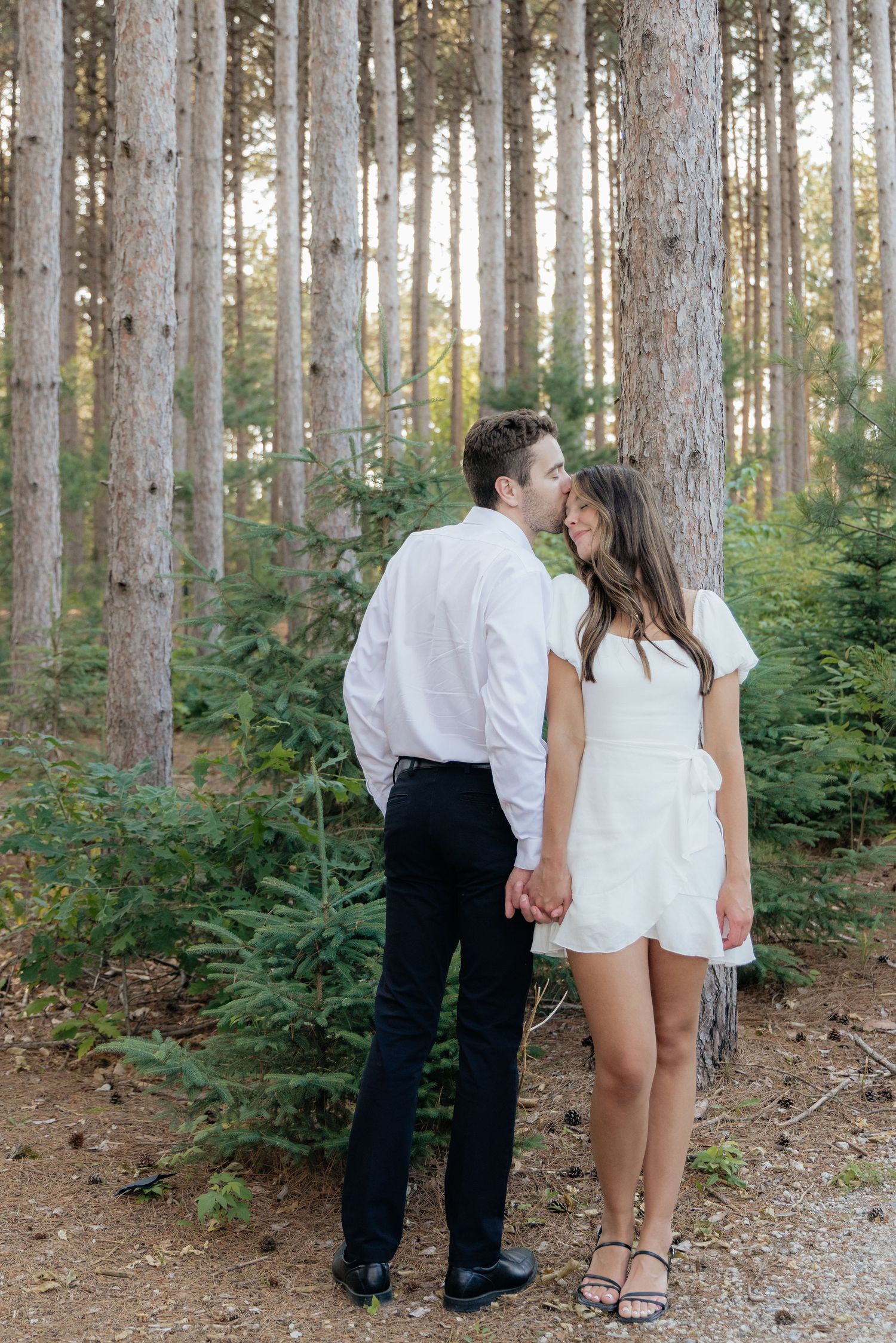 Golden-hour portrait of a couple embracing among tall trees at Pinewood in Cambridge, showcasing woodsy elegance.