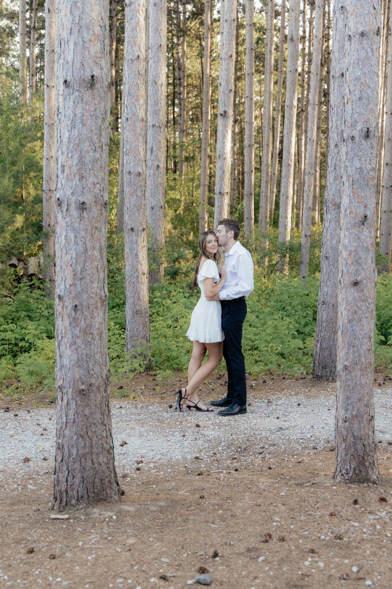 Golden-hour portrait of a couple embracing among tall trees at Pinewood in Cambridge, showcasing woodsy elegance.