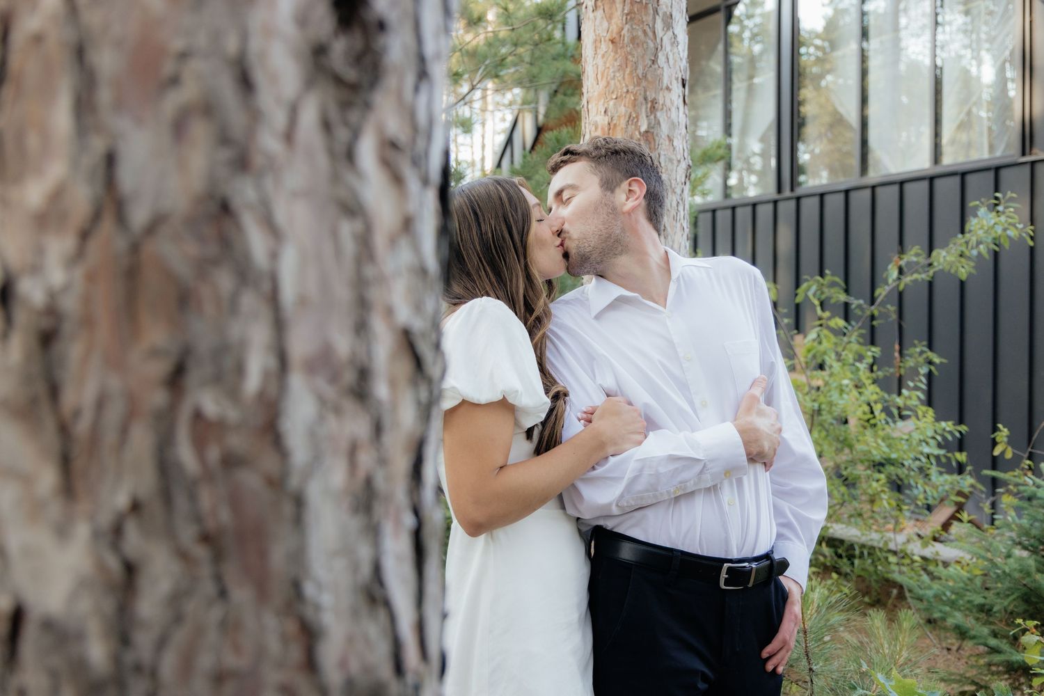 Golden-hour portrait of a couple embracing among tall trees at Pinewood in Cambridge, showcasing woodsy elegance.