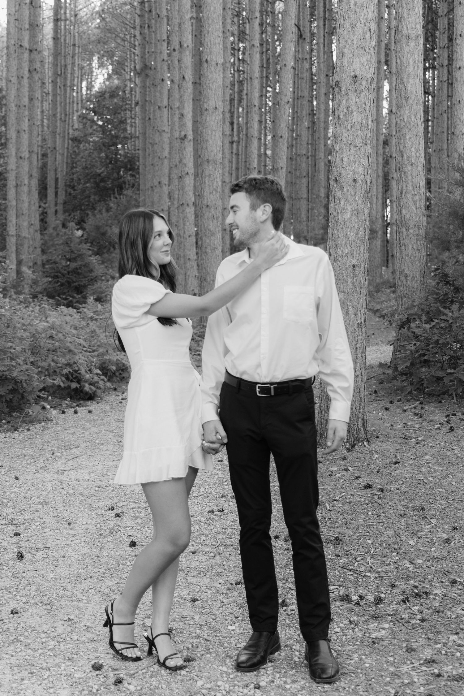 Golden-hour portrait of a couple embracing among tall trees at Pinewood in Cambridge, showcasing woodsy elegance.