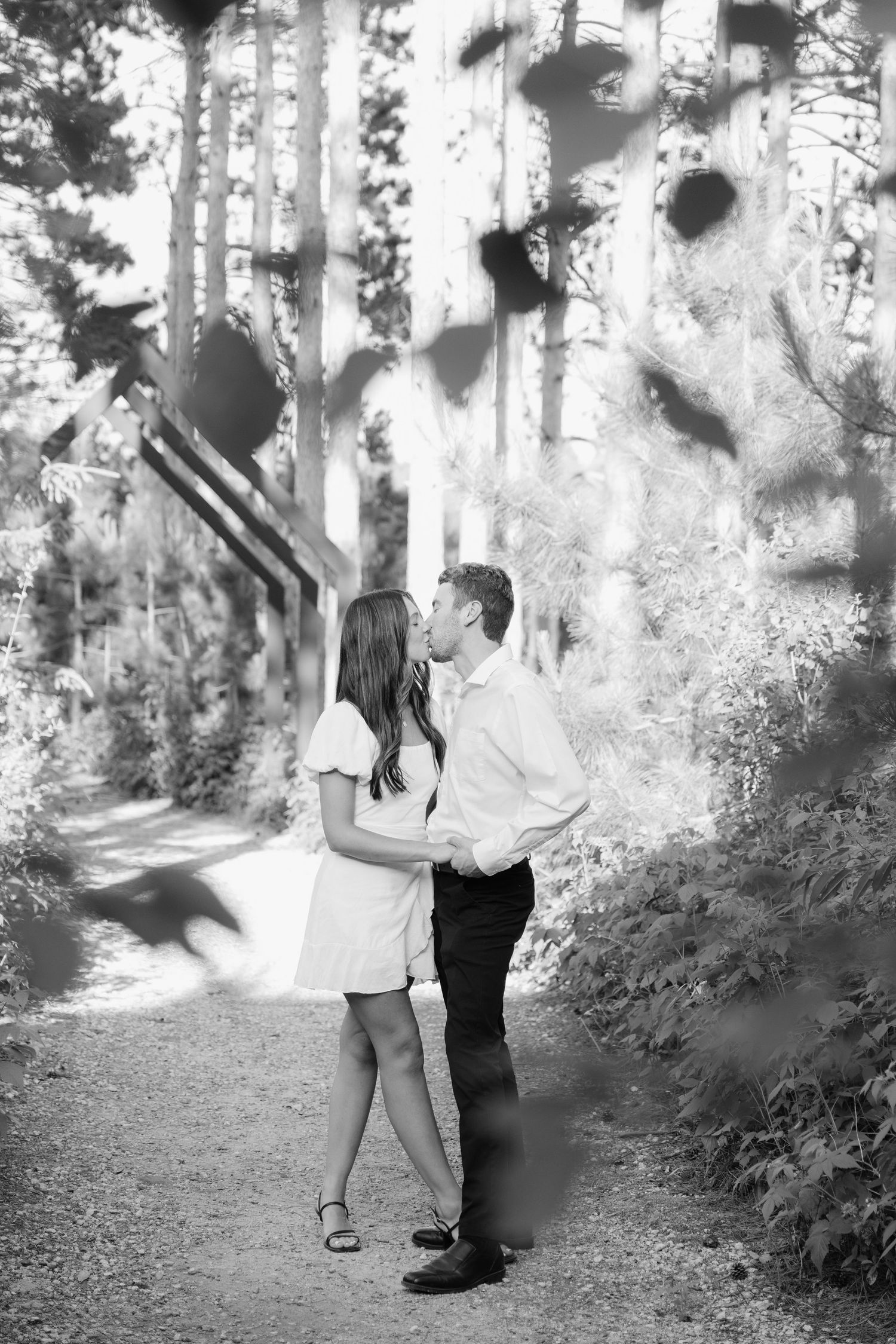 Golden-hour portrait of a couple embracing among tall trees at Pinewood in Cambridge, showcasing woodsy elegance.