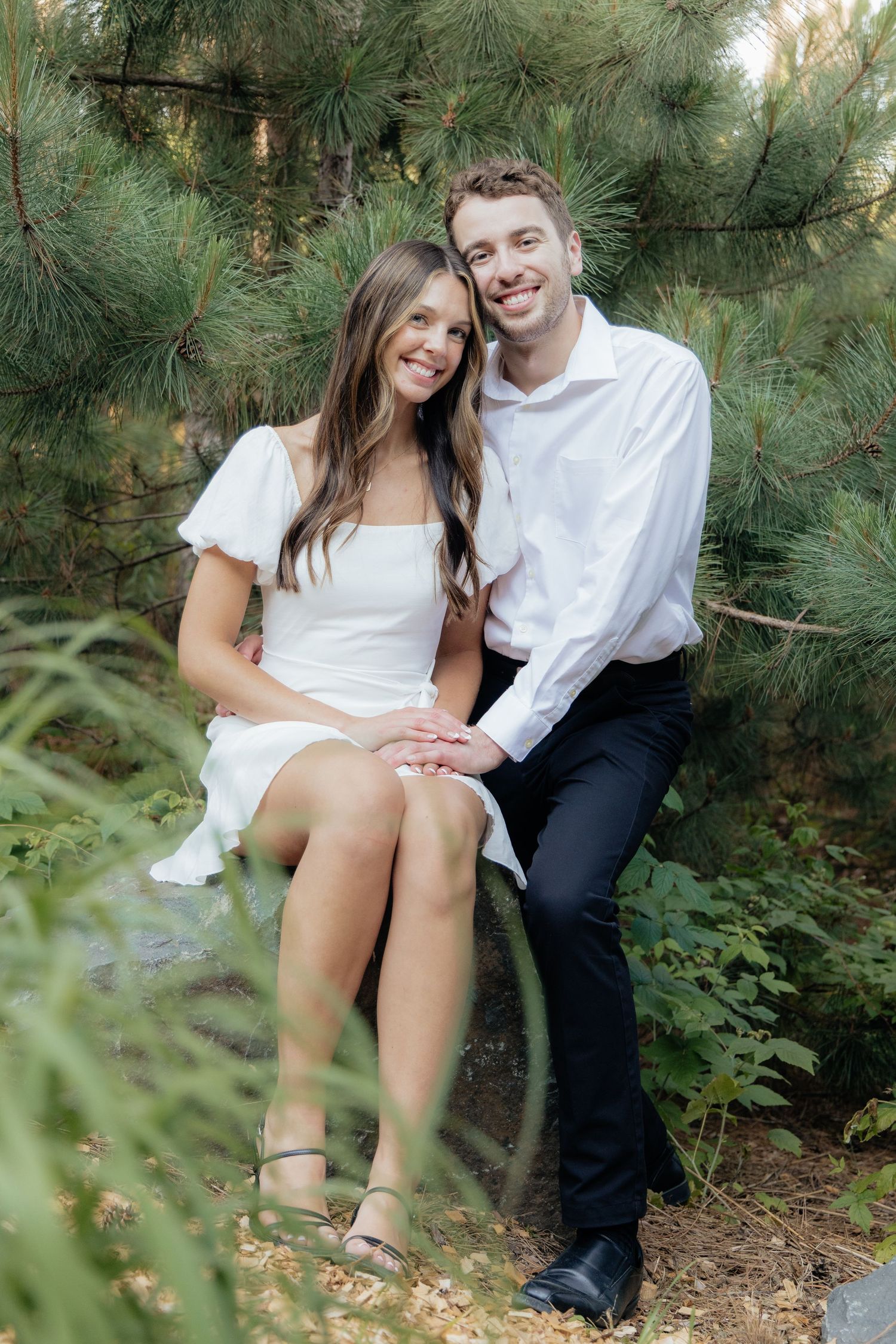 Golden-hour portrait of a couple embracing among tall trees at Pinewood in Cambridge, showcasing woodsy elegance.