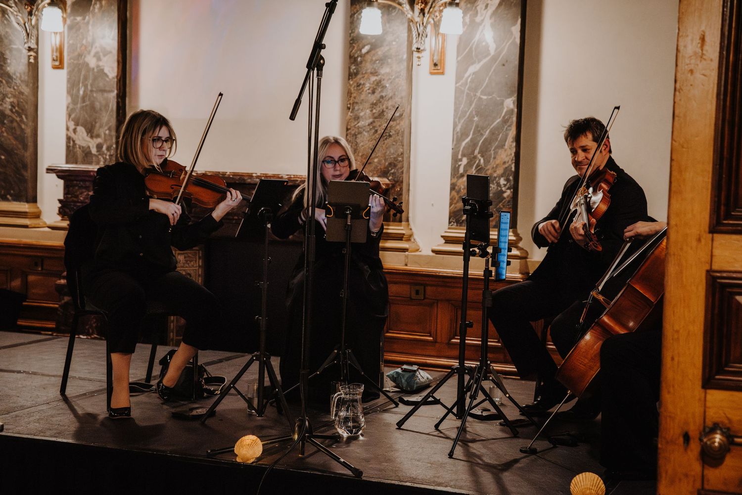 Musicians perform with string instruments in a warmly lit venue during a classical music performance at a fantasy ball.