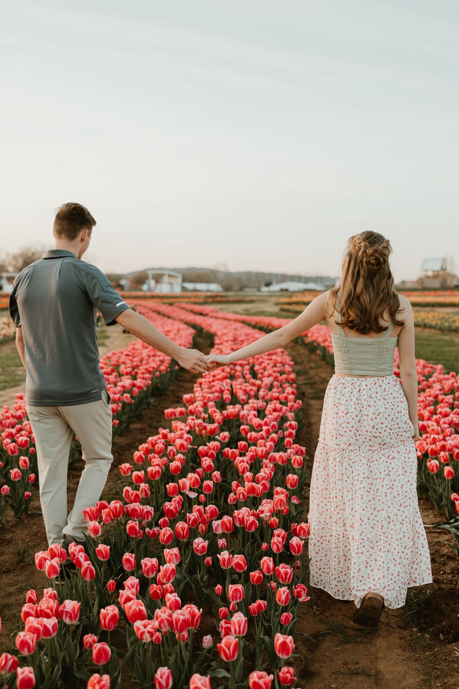 Couple holding hands walking through vibrant pink tulip fields in bloom under a soft evening sky.