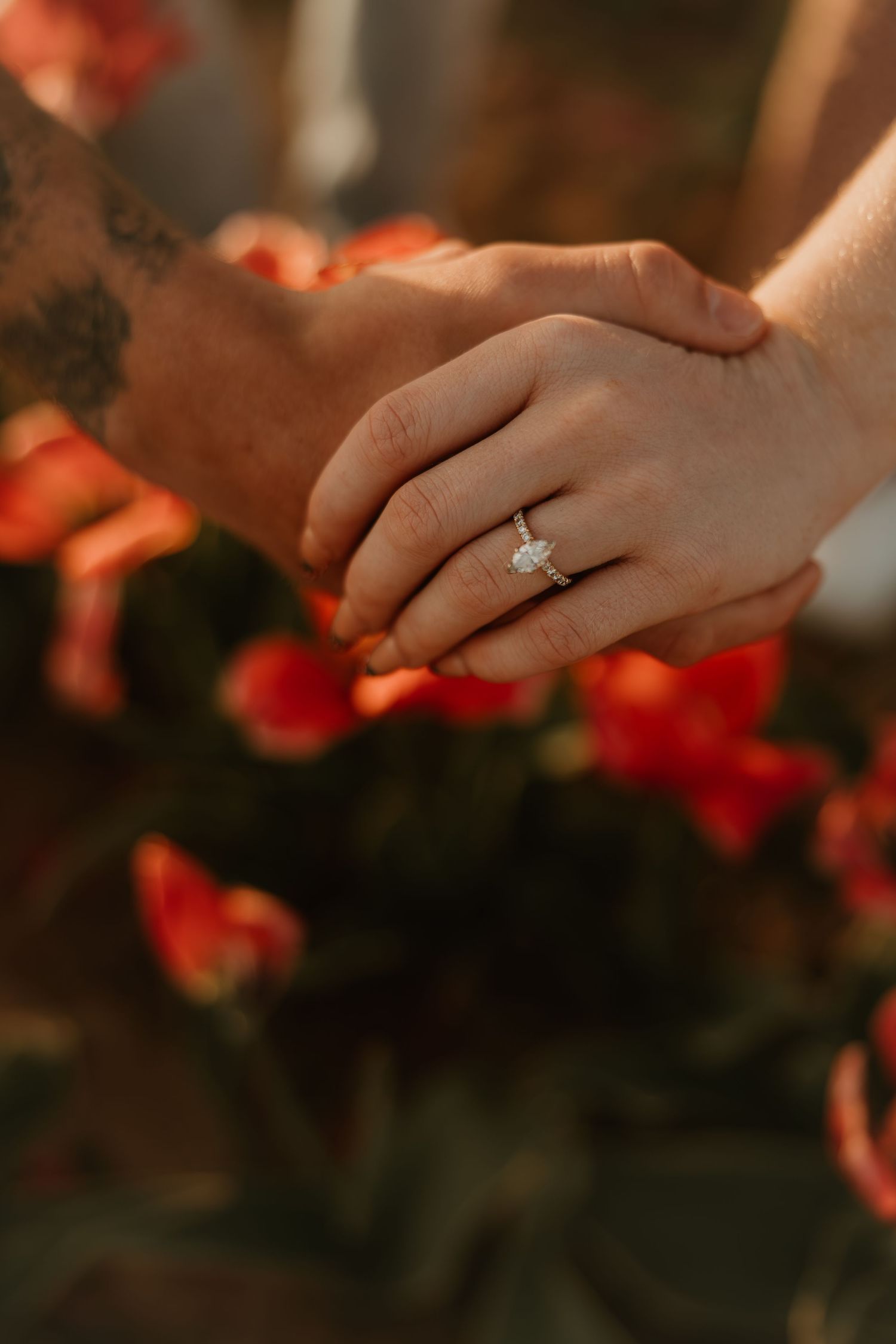 Engaged couple holding hands with diamond ring displayed among red flowers in warm sunset lighting.