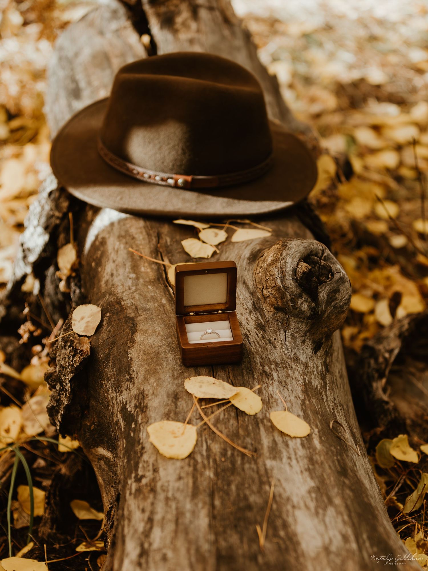 A brown fedora hat and wooden jewelry box rest on a fallen log surrounded by autumn leaves in a sepia-toned scene.