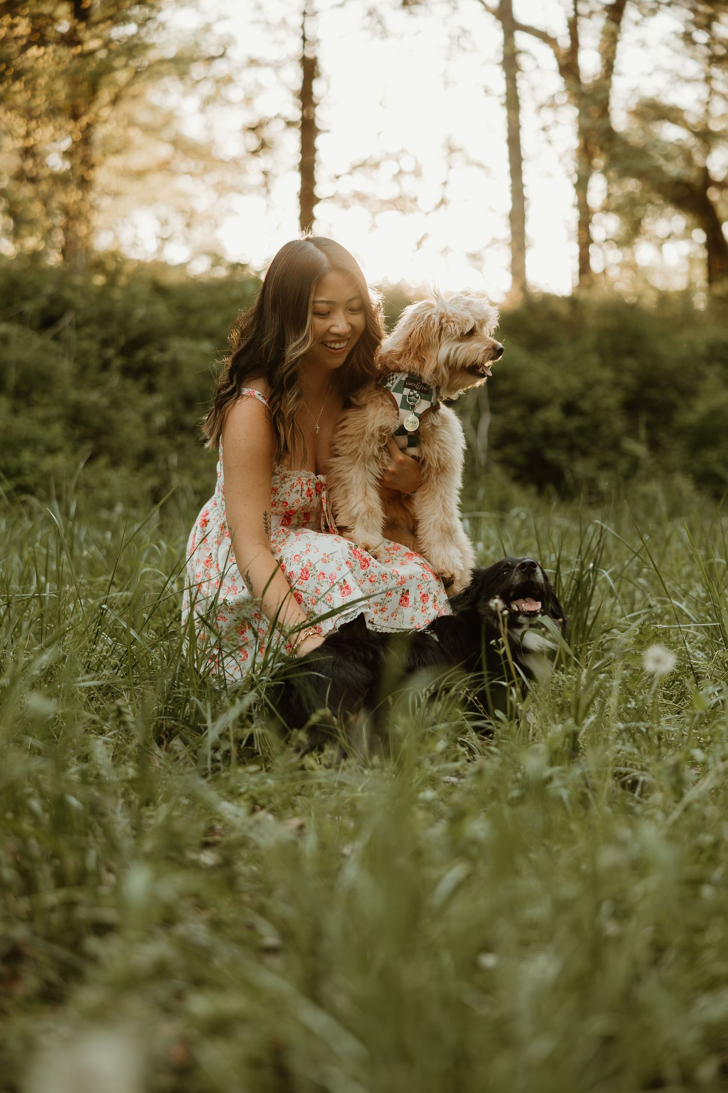 Two dogs and a woman in a floral dress sit together in a sunny meadow surrounded by tall grass at golden hour.