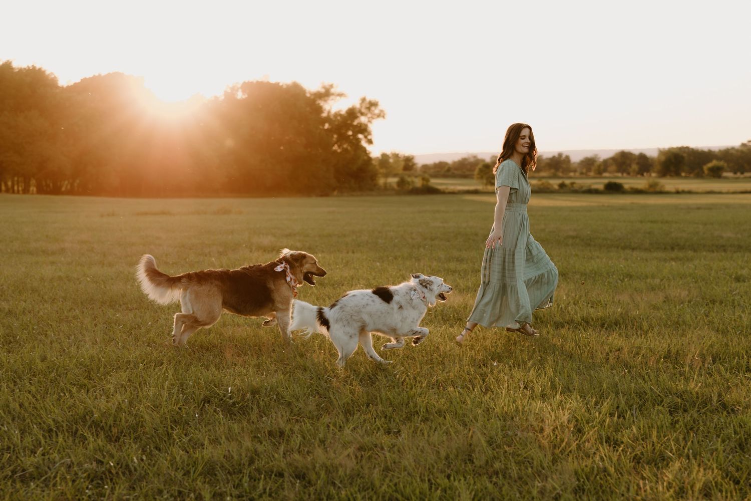 Woman in teal dress walking two dogs in sunlit green field at golden hour sunset.