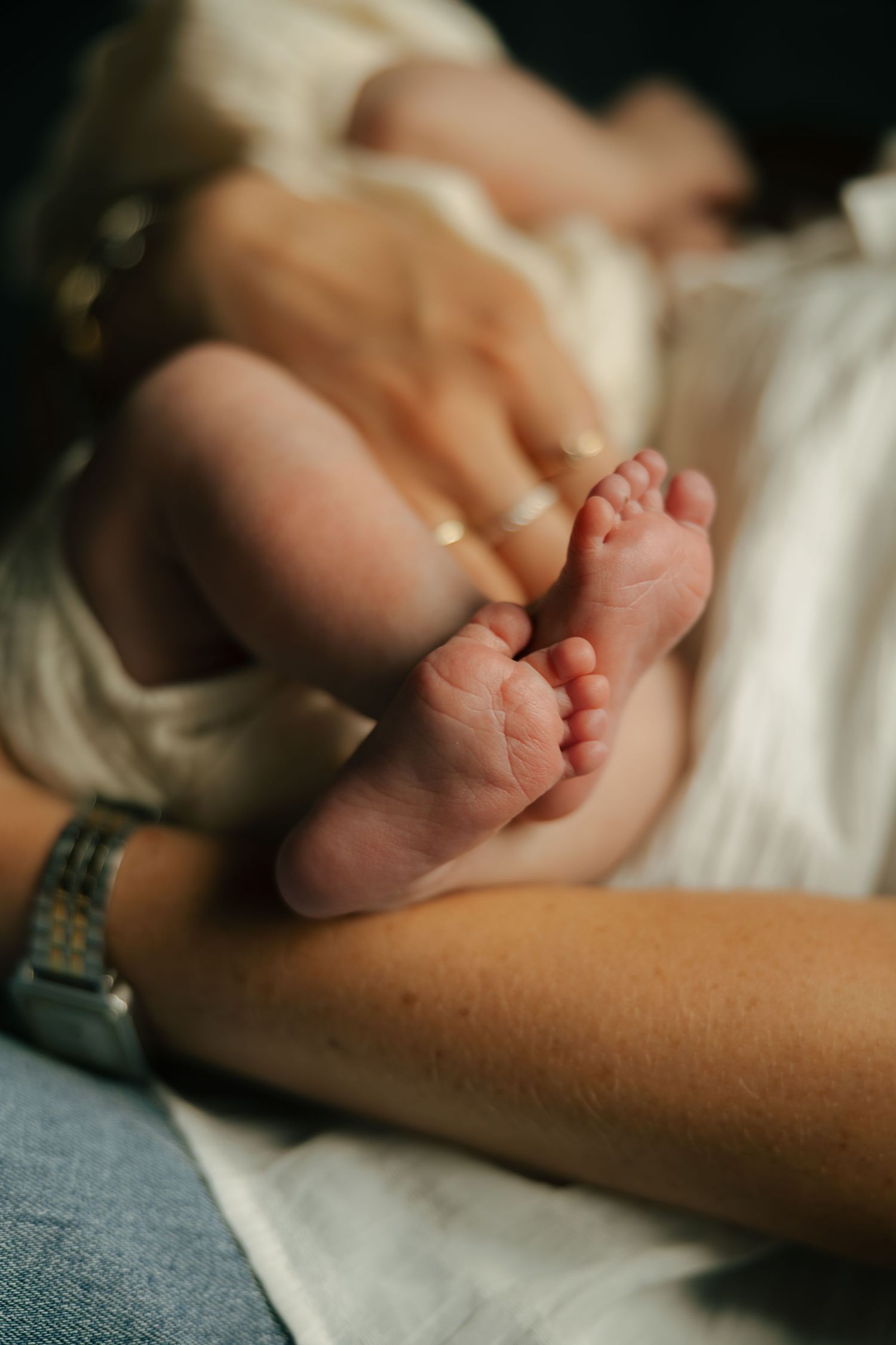 Close-up of tiny newborn baby feet cradled gently in an adult's hands, wrapped in a soft white blanket.