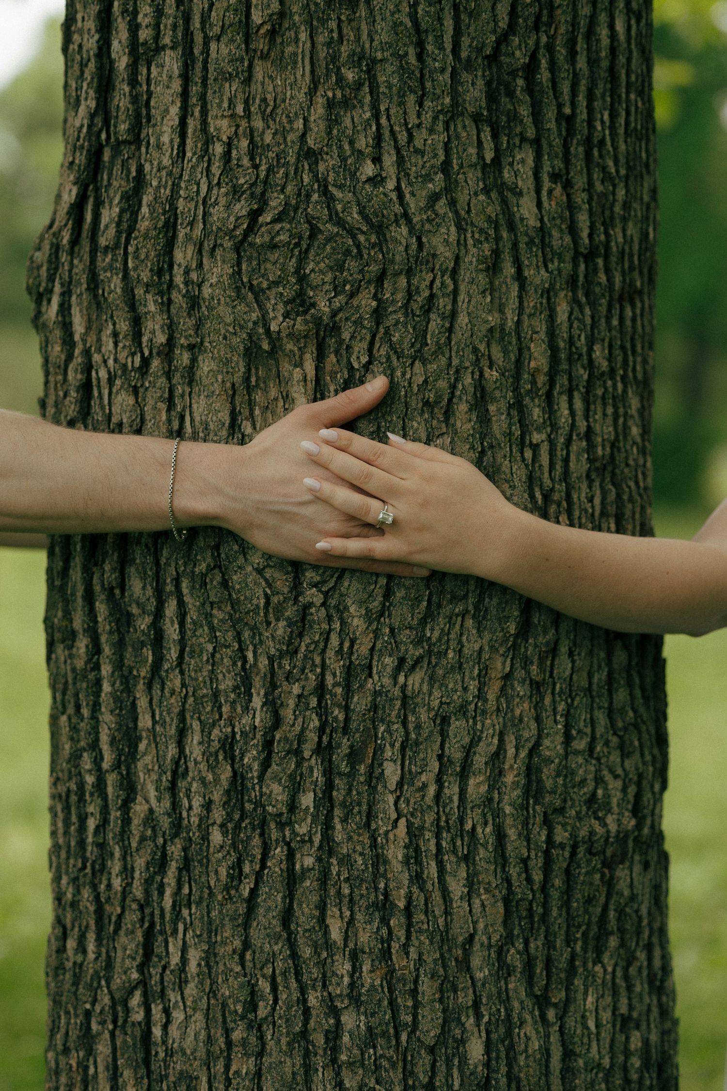 Two hands embracing a large tree trunk in a park, one adorned with a ring and bracelet.