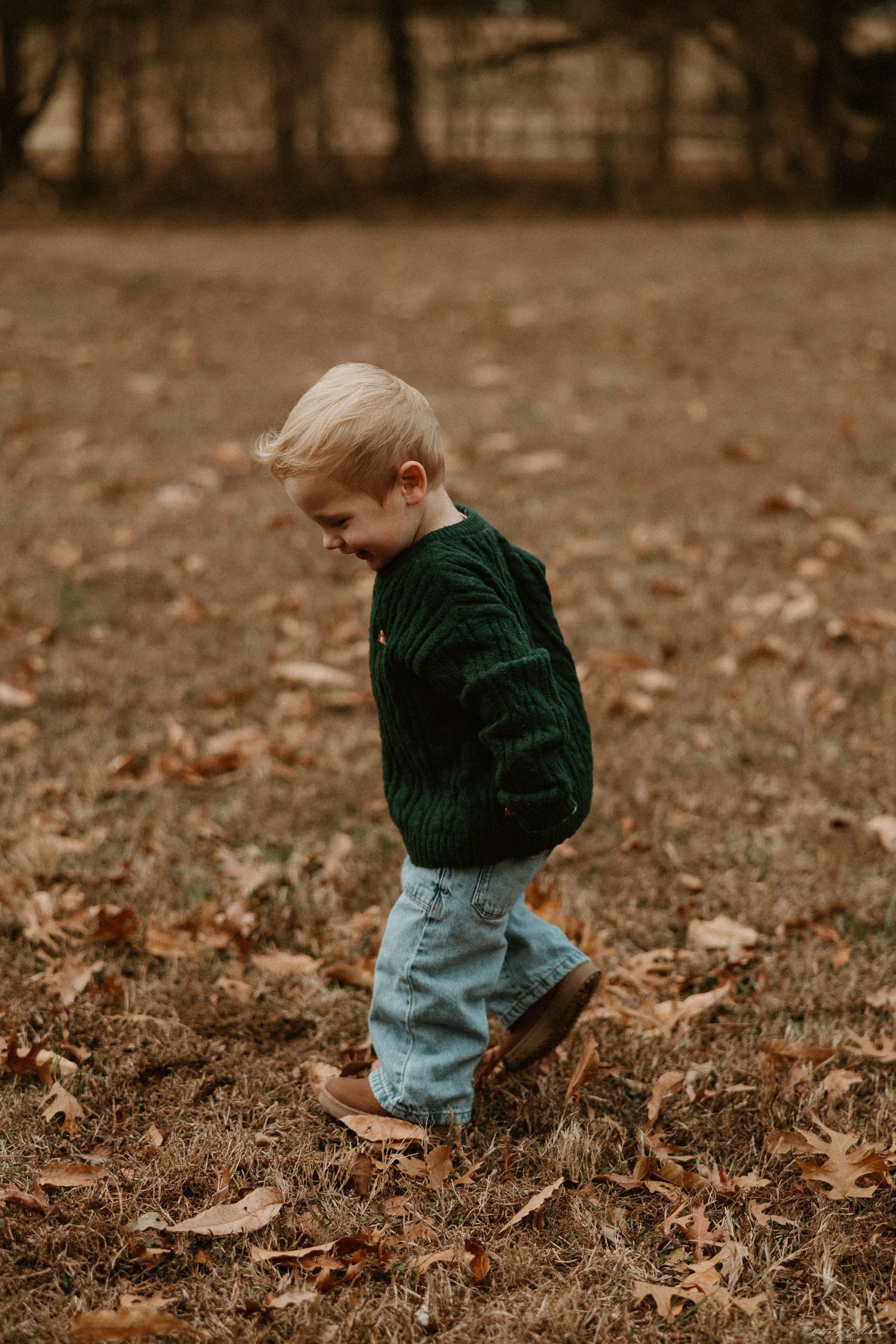Small child in a green sweater and jeans walking through fallen autumn leaves on a brown grass landscape.