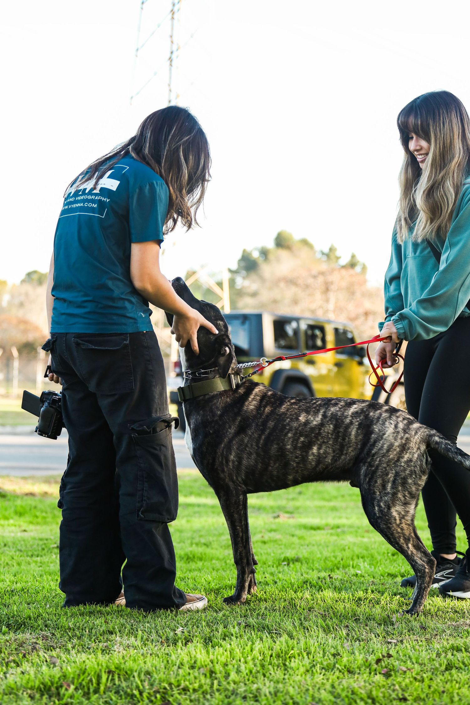 Dog trainer demonstrates obedience training techniques with a brindle dog on green grass in an outdoor setting.