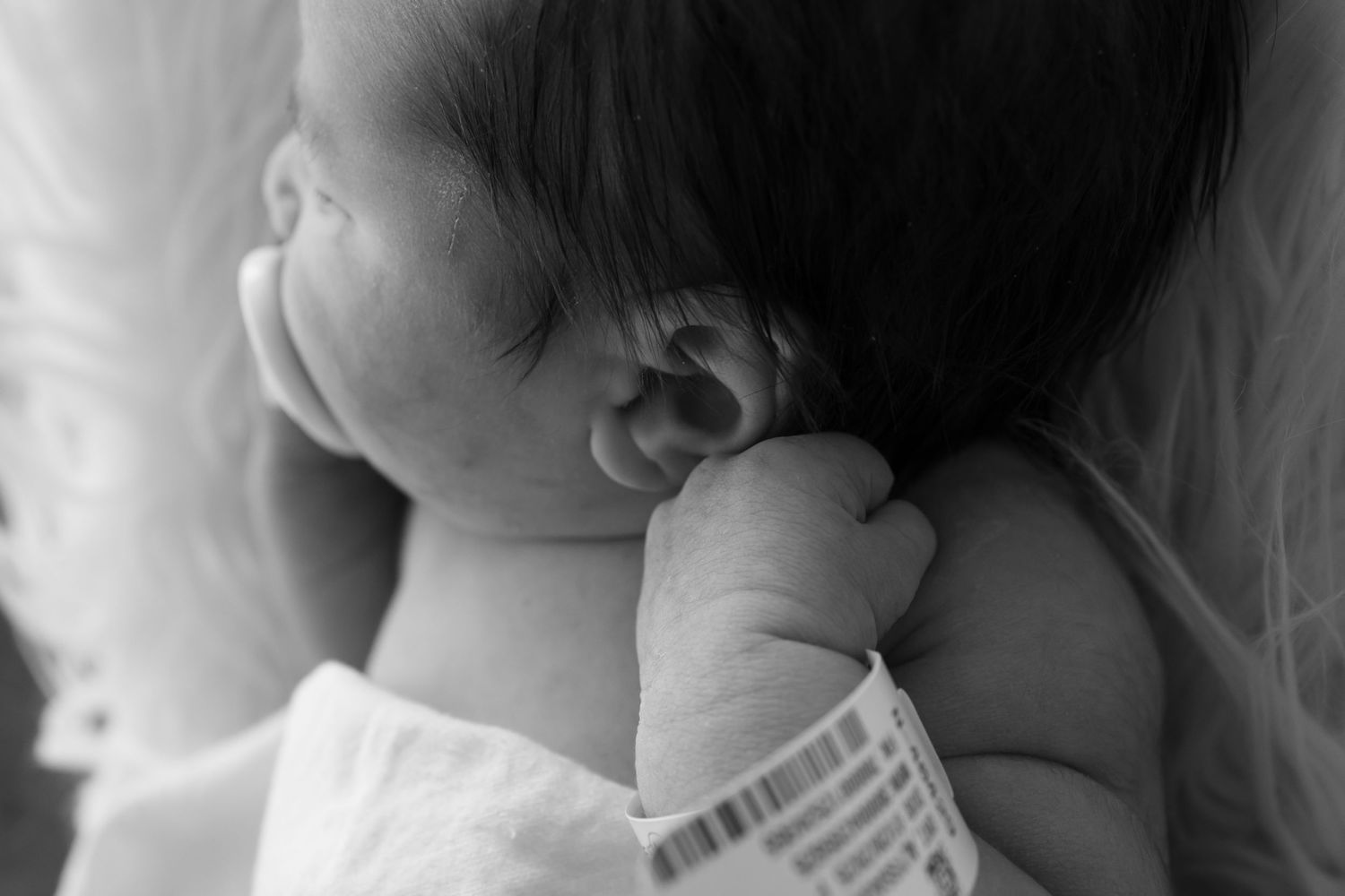 An intimate black and white photograph captures a tender kiss between two people at a close-up angle.