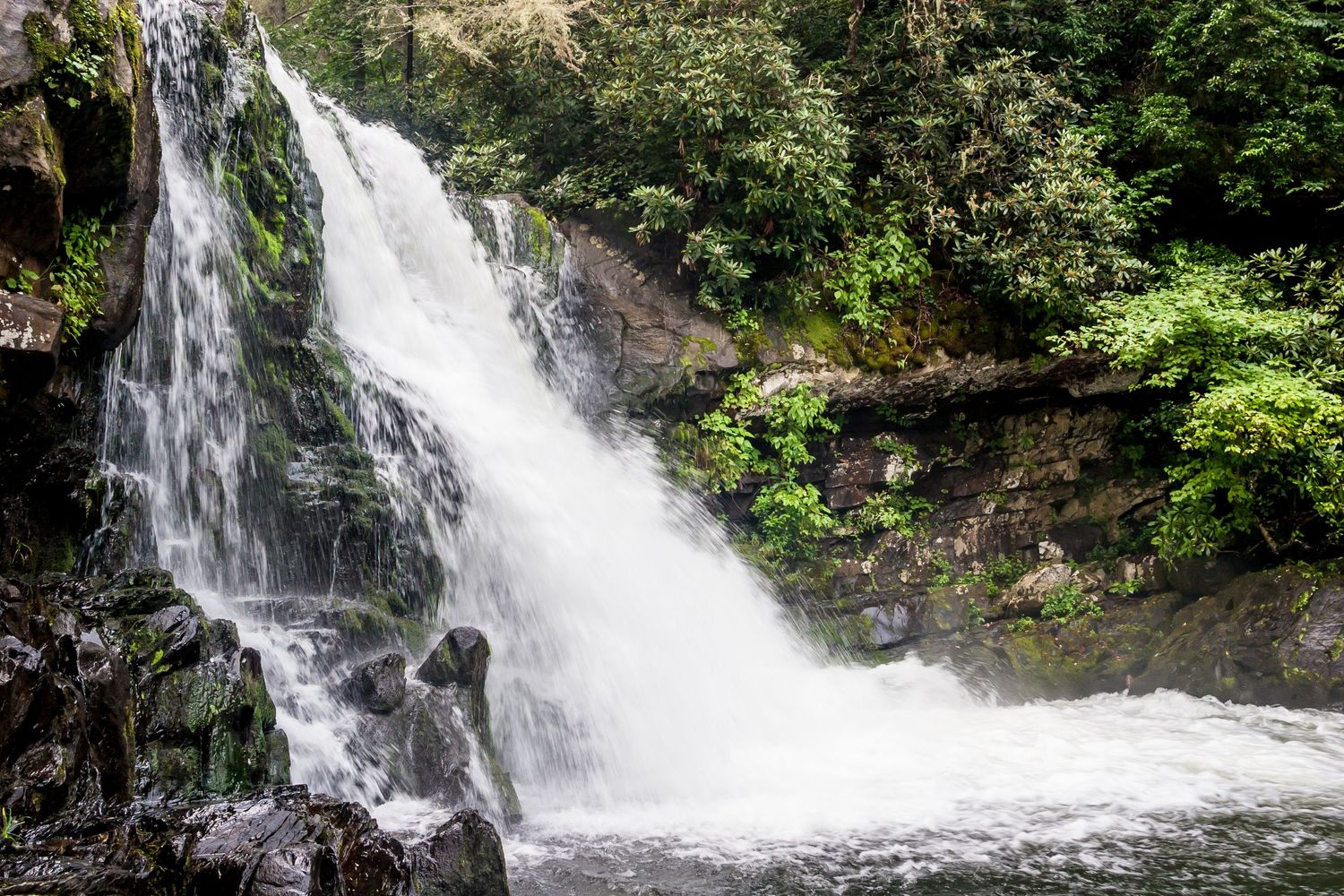 Cascading waterfall flows through lush green forest vegetation, creating a serene natural landscape.