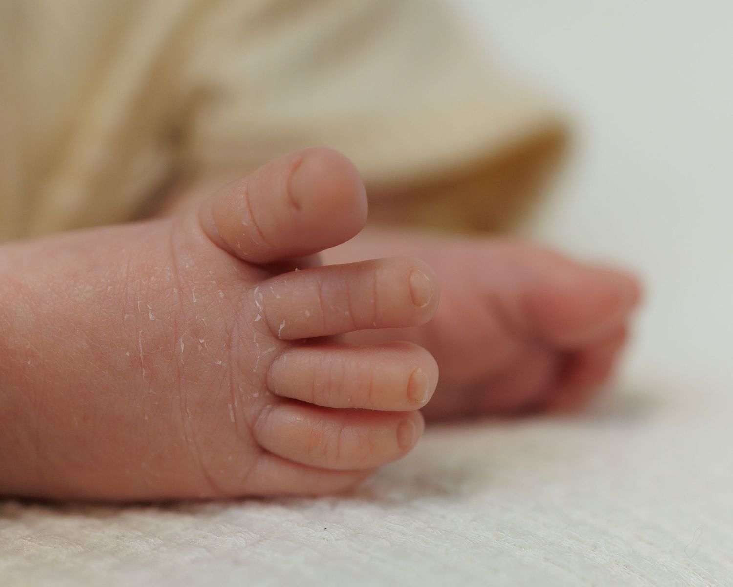 A close-up series of tiny baby fingers against a soft white background.