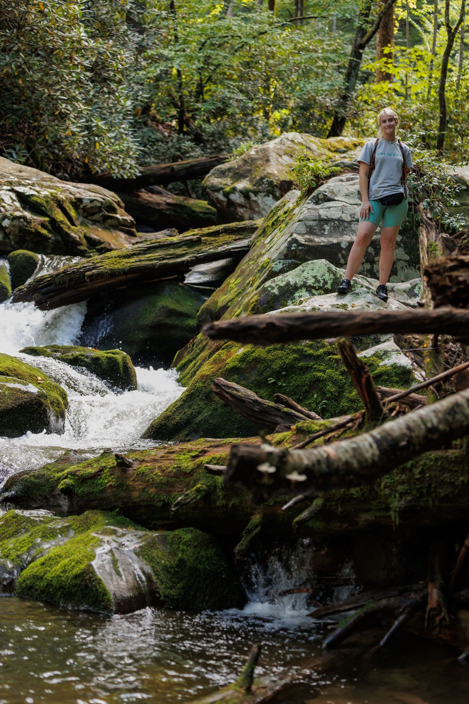 Mossy boulder-strewn creek with cascading waterfalls flowing through a lush forest landscape.