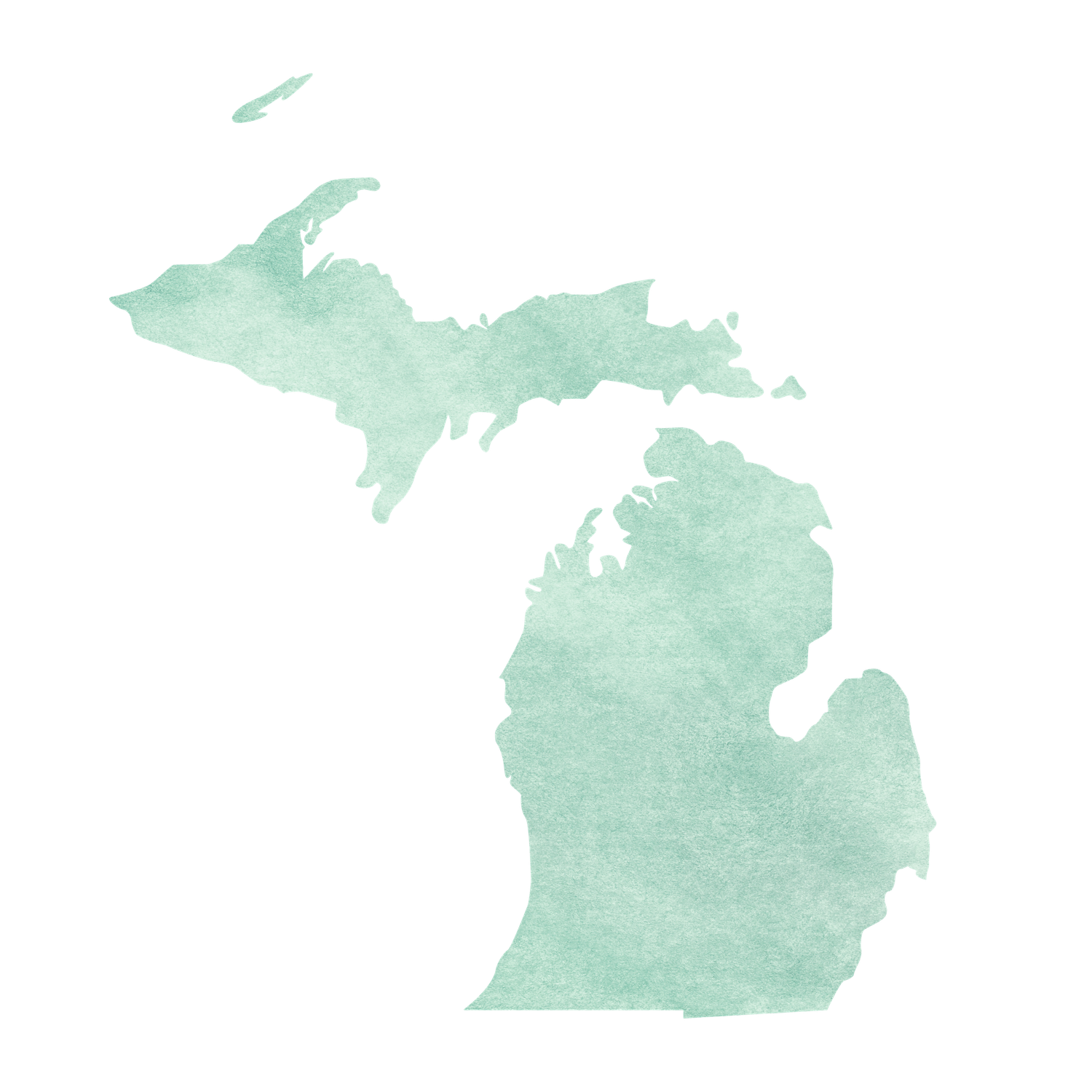 A topographic Michigan map showing terrain features in shades of mint green and white against a white background.