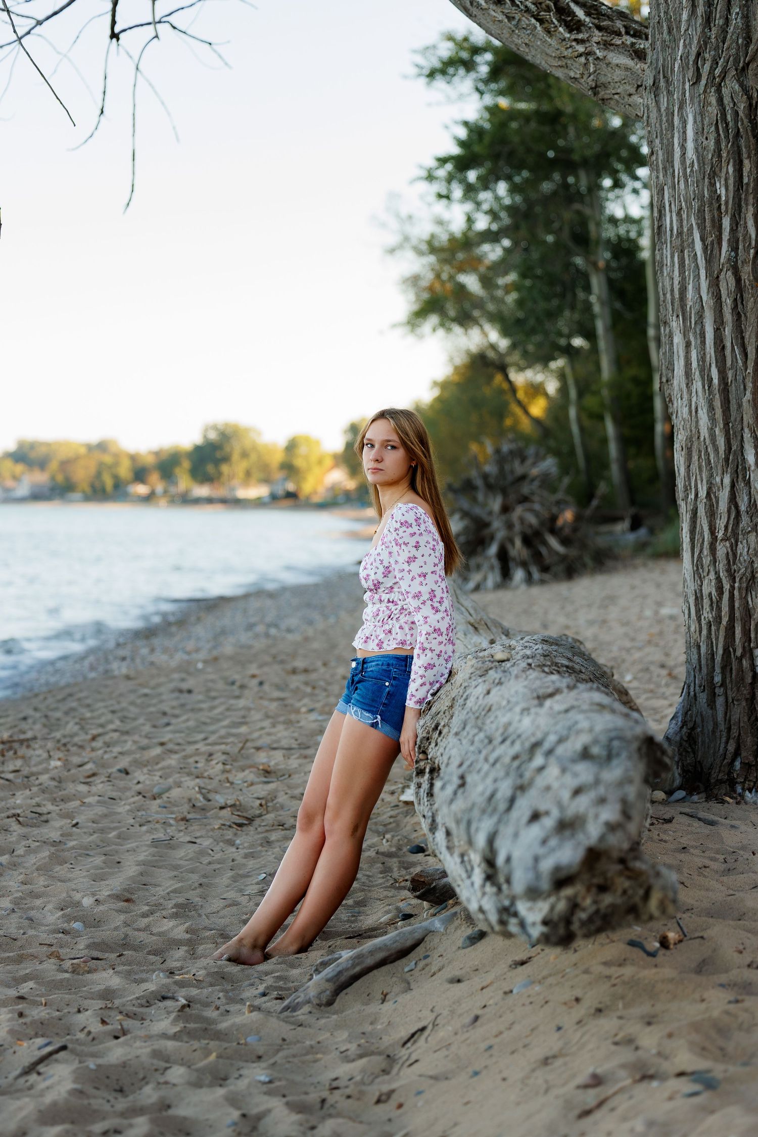 A person sits on a sandy beach shoreline next to a fallen log during golden hour.