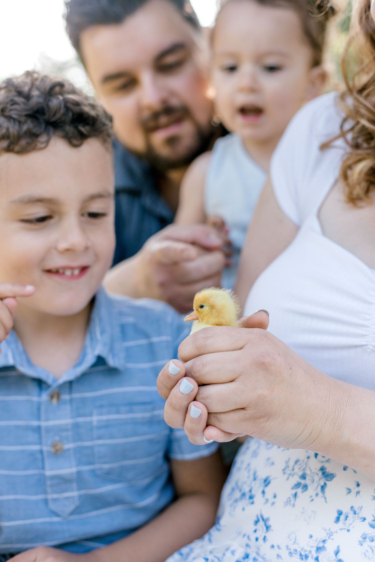 A family gathers closely to look at a small yellow duckling they are holding in their hands outdoors.