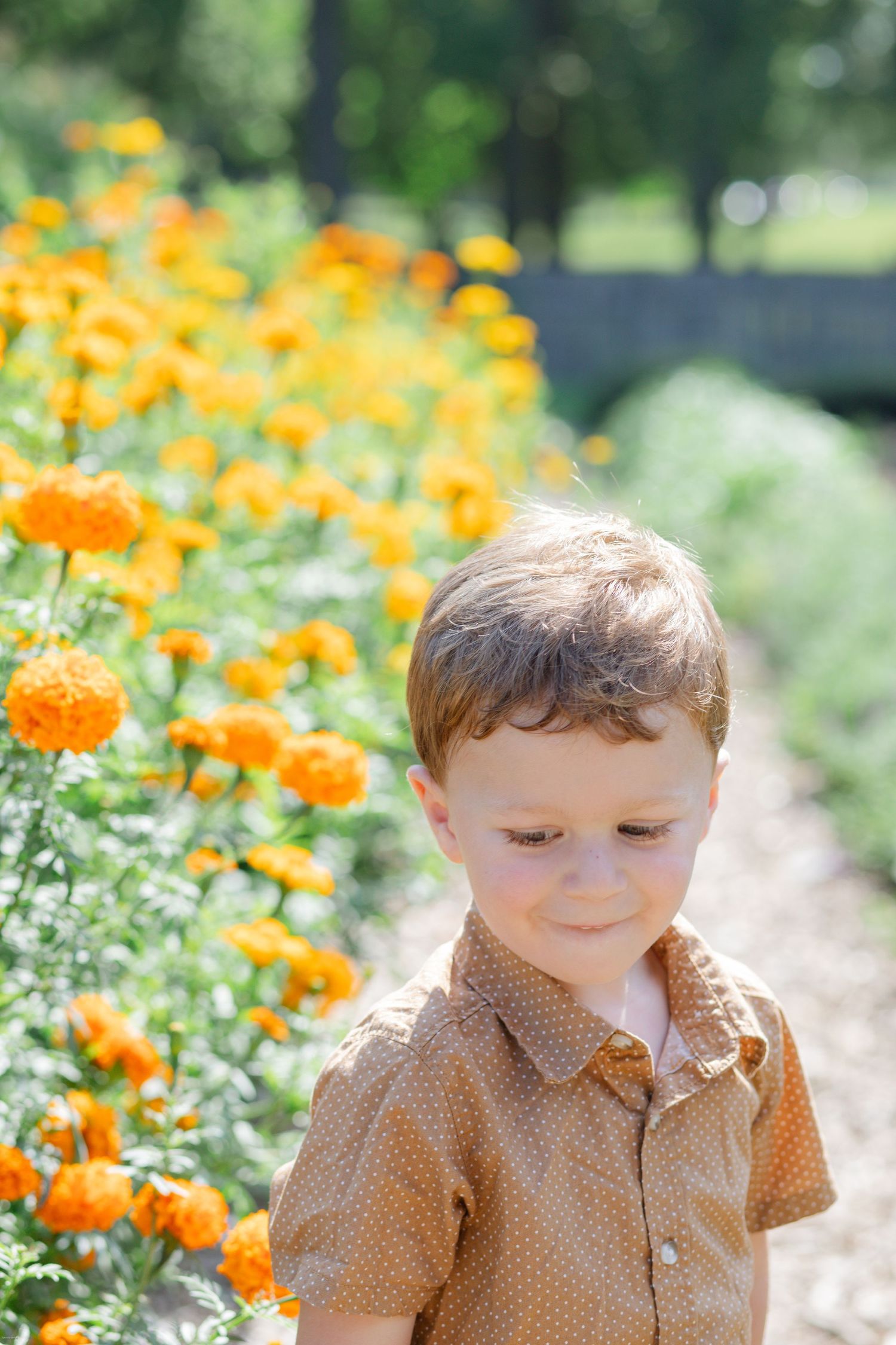 A child stands near bright orange marigold flowers in a summer garden.