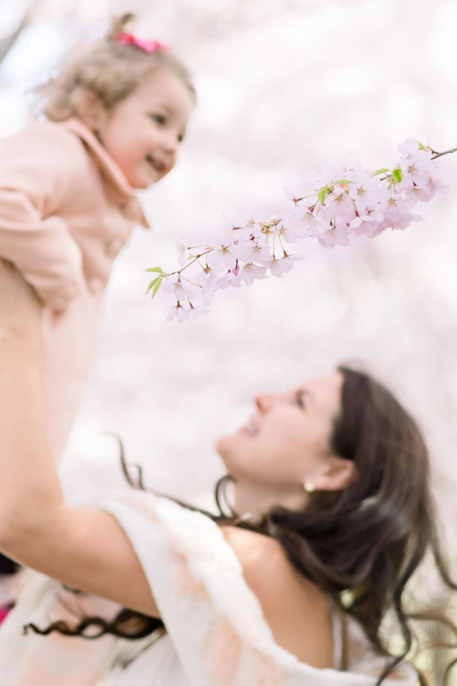 A joyful moment under blooming cherry blossoms as delicate pink petals frame a tender spring scene.