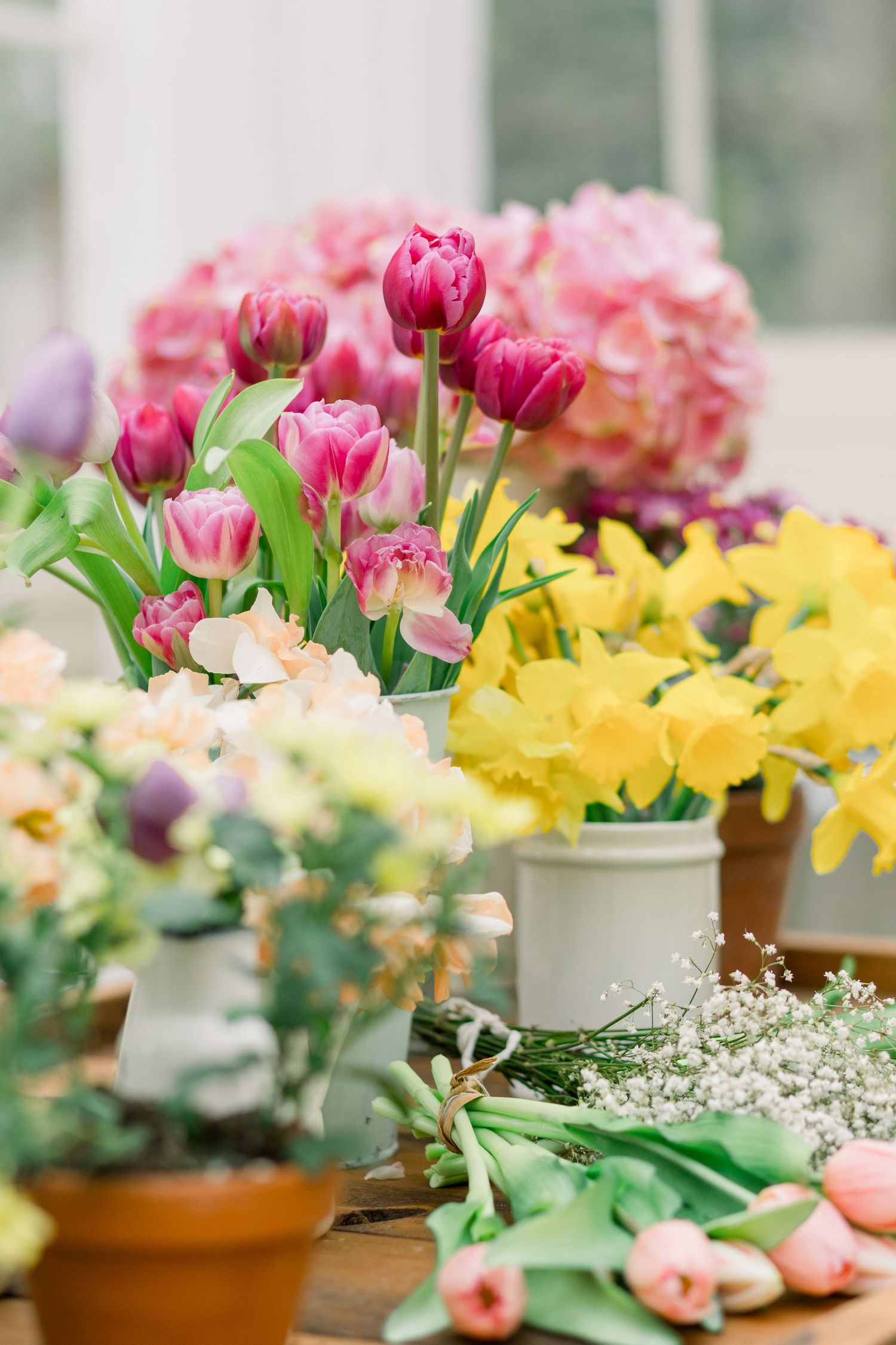 Beautiful spring flower arrangement with pink tulips, yellow daffodils and delicate baby's breath in rustic pots.