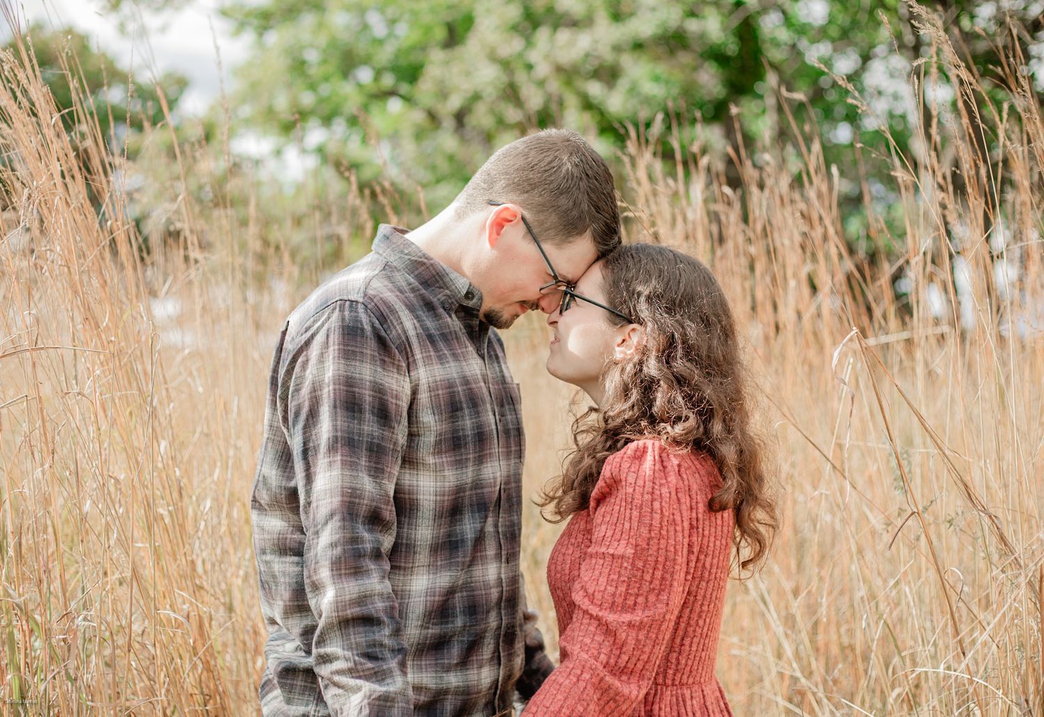 A couple shares an intimate moment among tall golden grass during a romantic outdoor photoshoot.