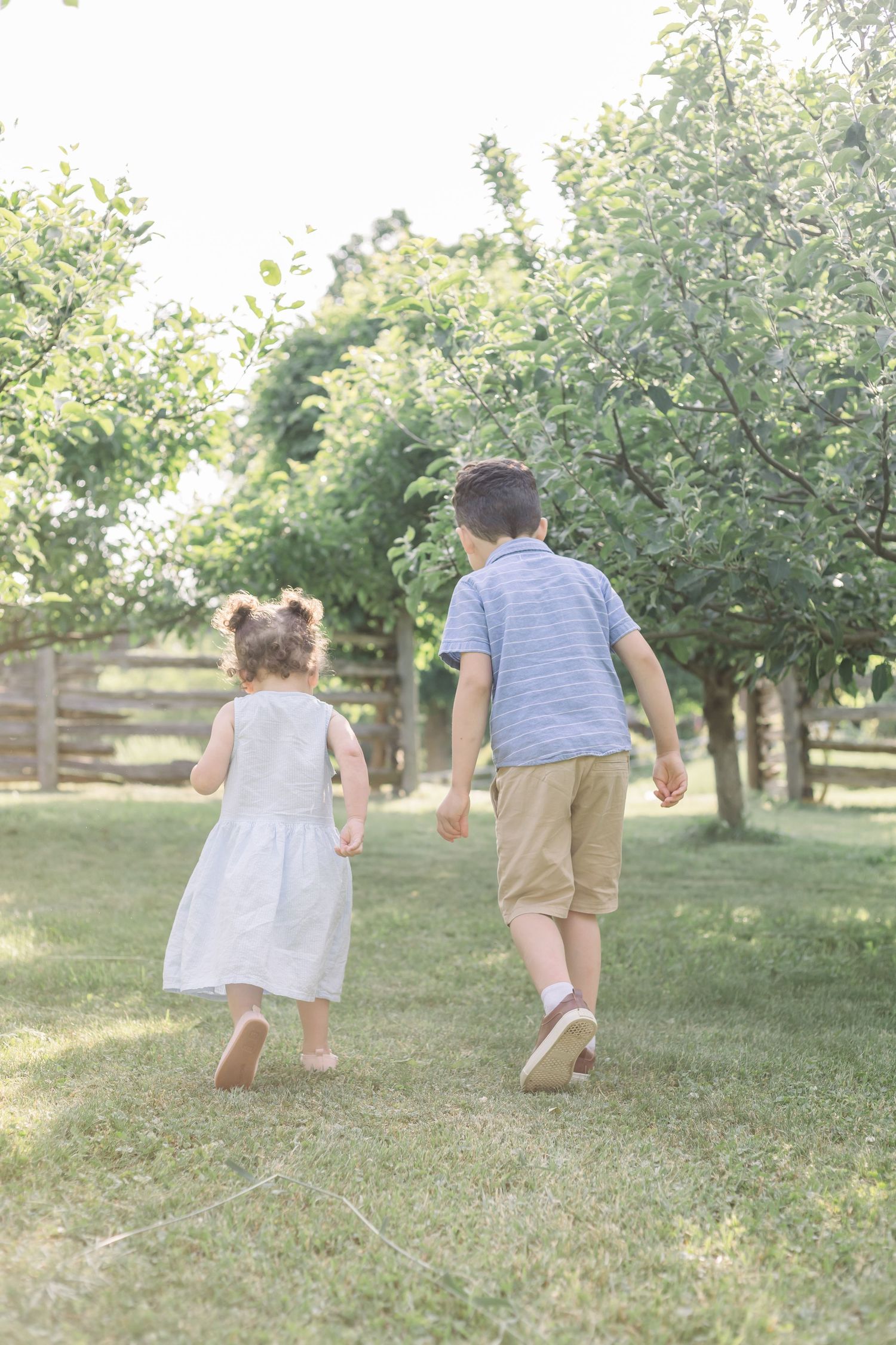 Two children walking together through a sunny orchard on a summer day.