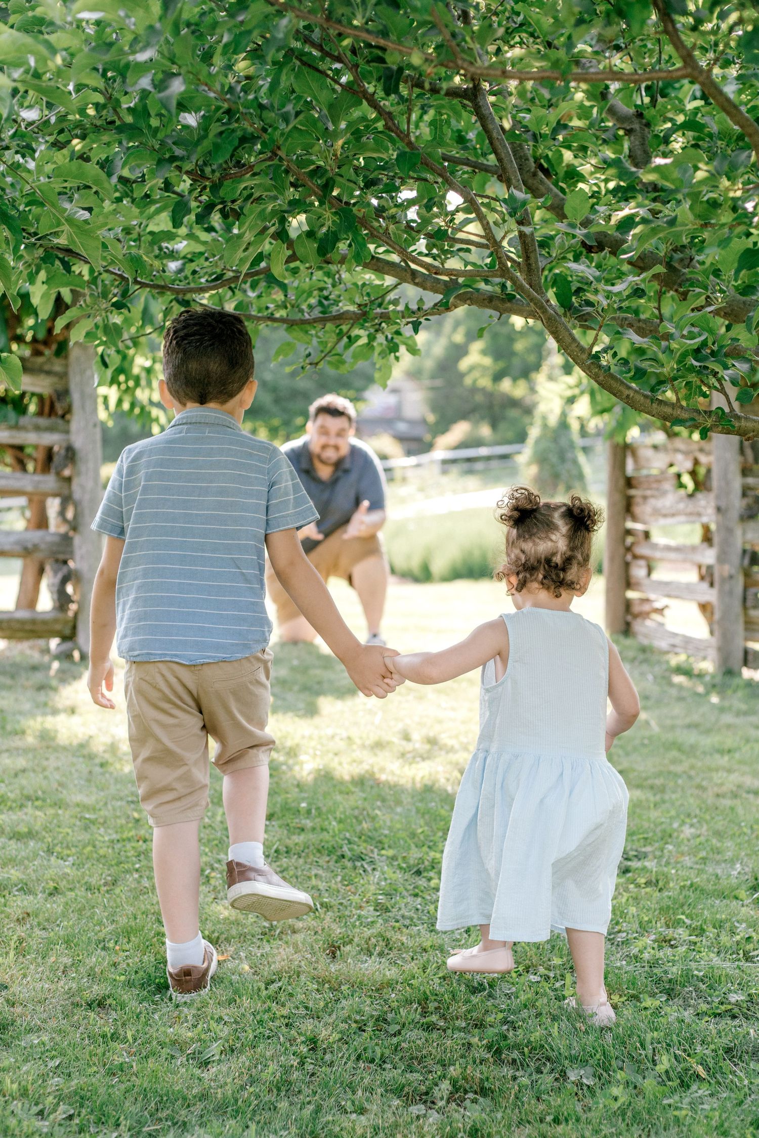 Family walking together through a lush green park on a sunny summer day, holding hands in a line.