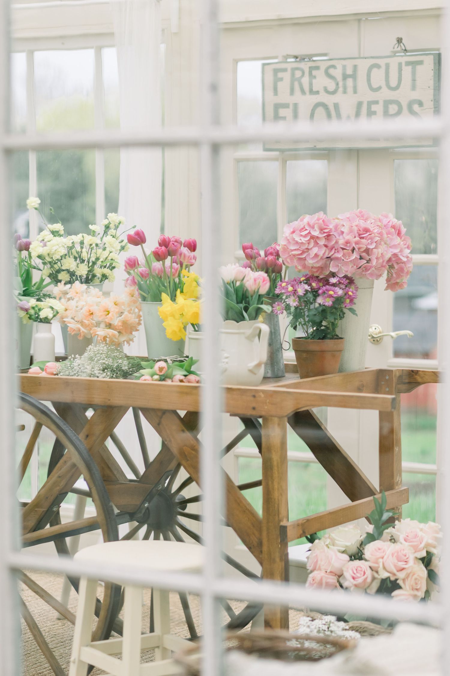Rustic wooden display shelves adorned with colorful potted flowers in a bright greenhouse setting.