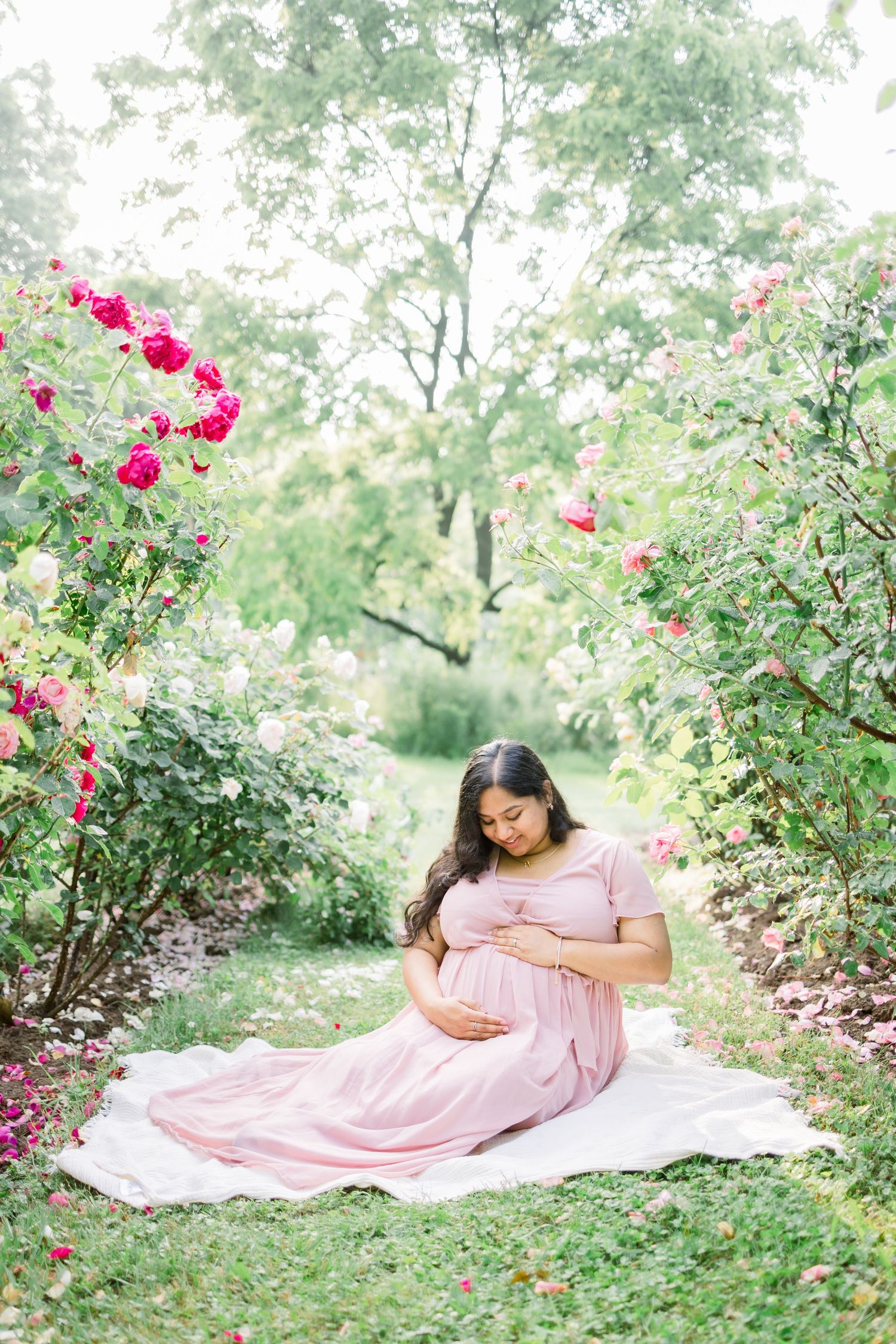 A pregnant woman in a pink dress reclines on a white blanket in a garden setting with blooming red roses.