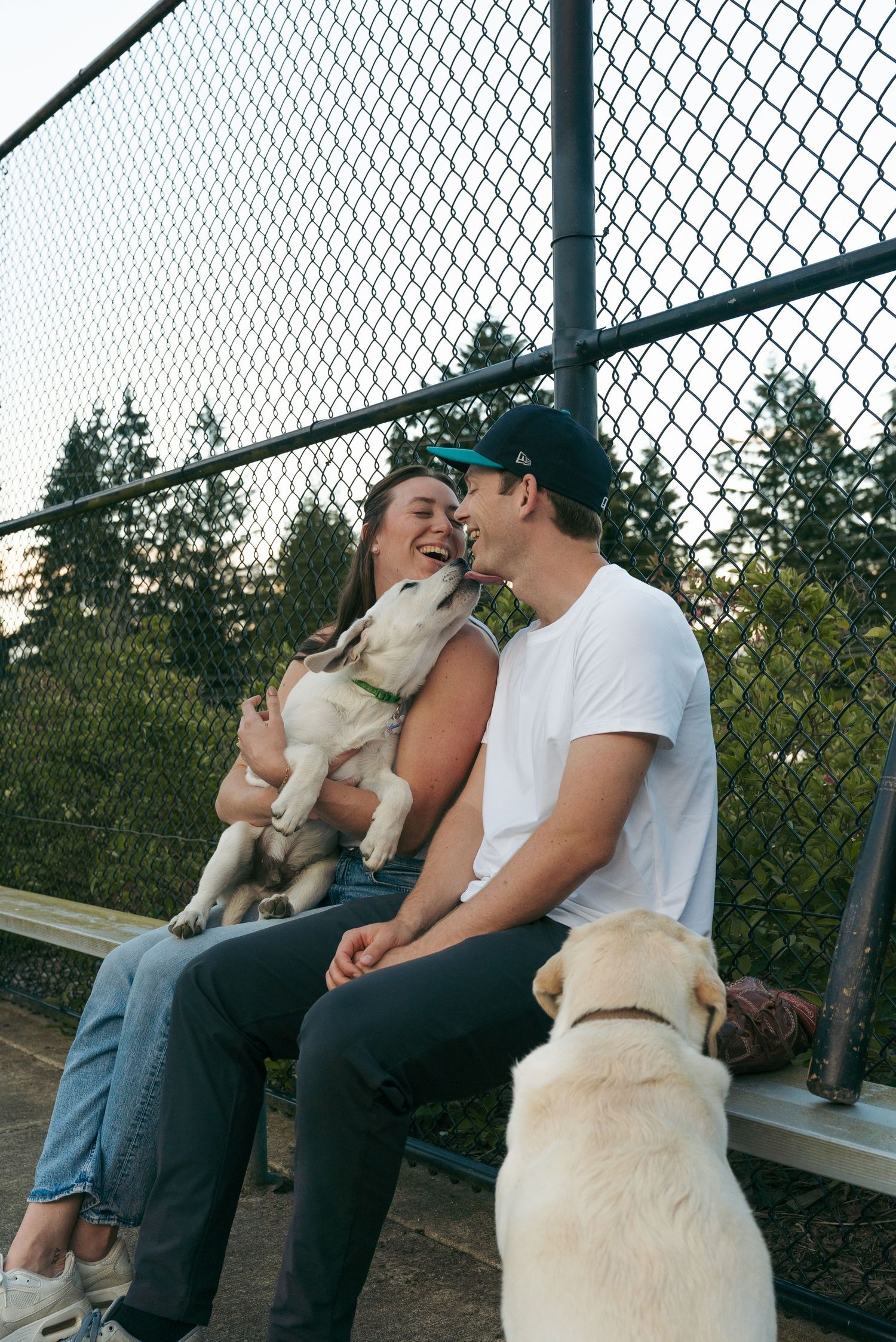 Smiling couple sitting on a bleacher bench by a chain-link fence, laughing as a husky puppy licks her face while a yellow Lab looks on.