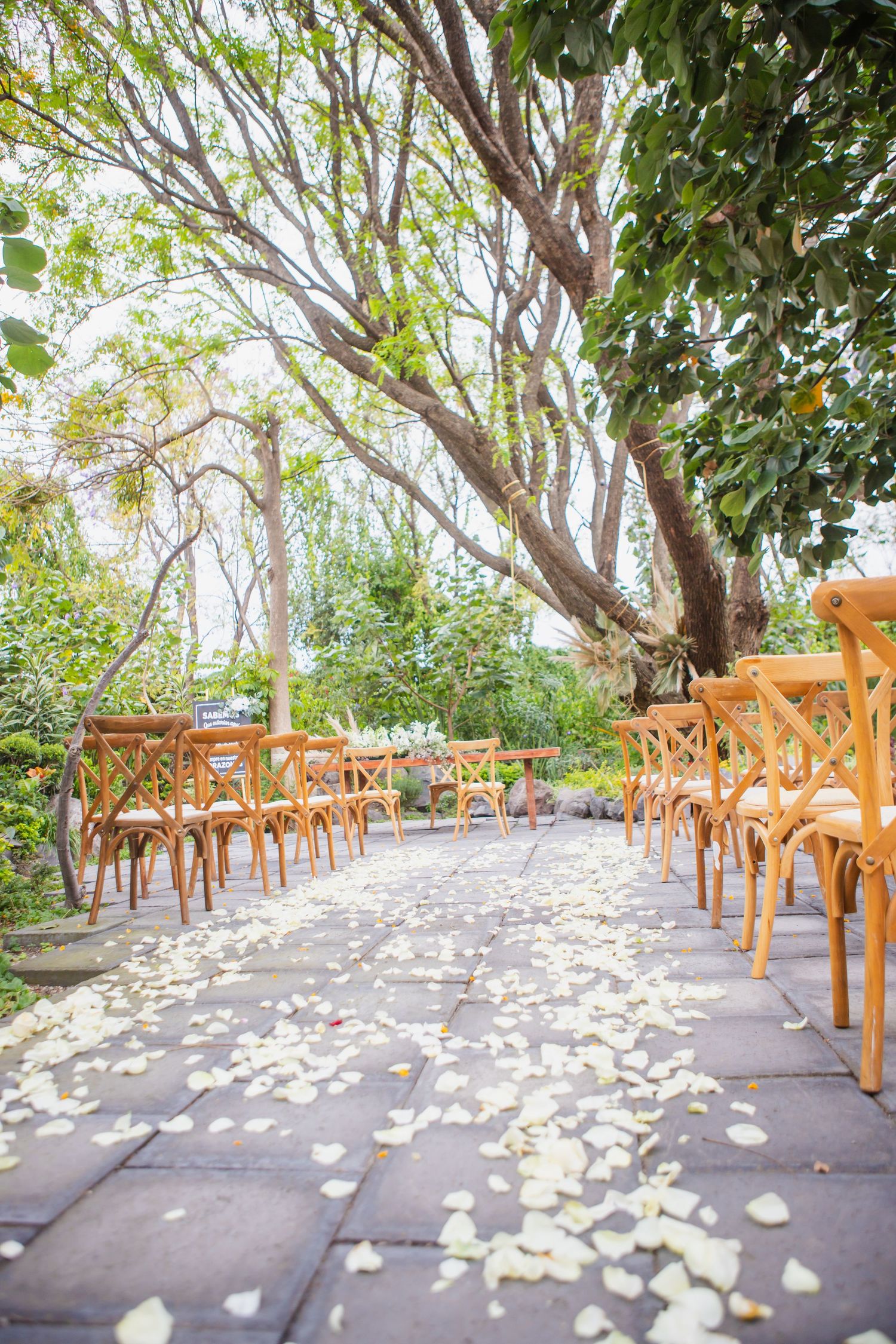 Outdoor wedding ceremony aisle covered in white flower petals, lined with rustic wooden cross-back chairs beneath leafy trees.