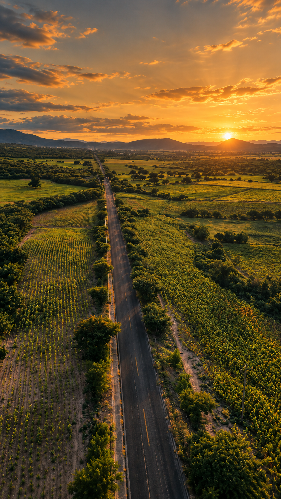 Aerial view of a straight road crossing green farmland and tree-lined fields at golden sunset with mountains and a glowing orange sky.