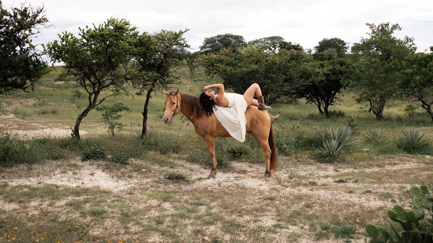 A woman in a white dress lies back across a chestnut horse standing in a dry, sunlit field dotted with trees and agave plants.