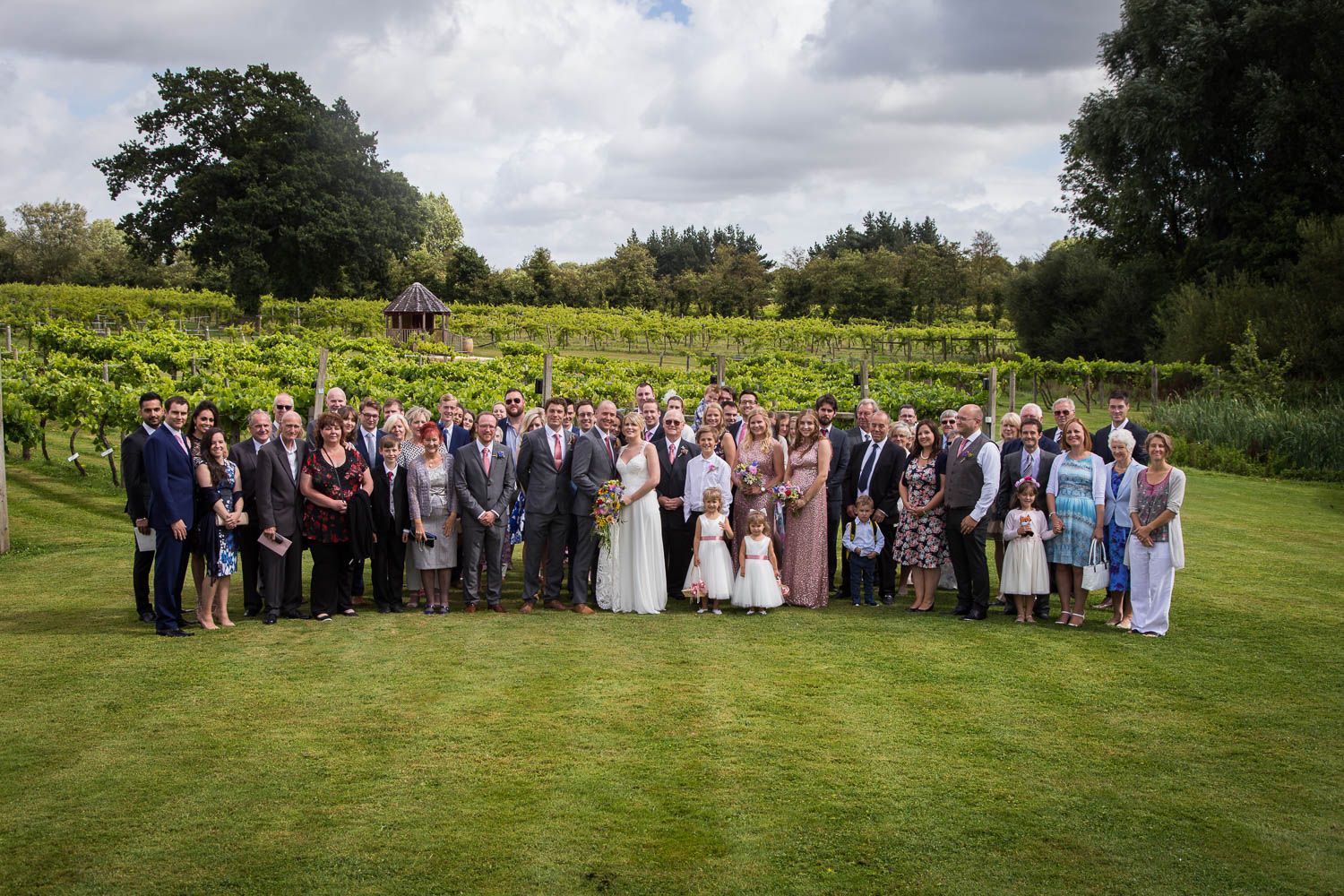 Large group of wedding attendees gathered on a green lawn with trees and cloudy sky in the background.