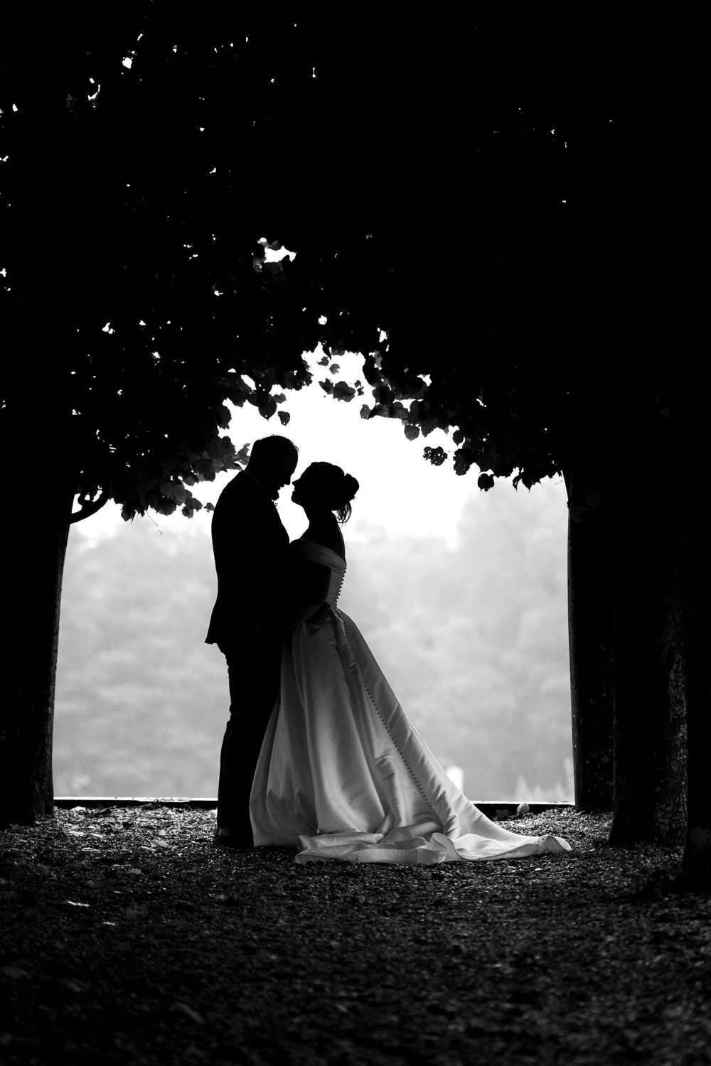A romantic silhouette captured through a natural archway of trees in black and white photography.