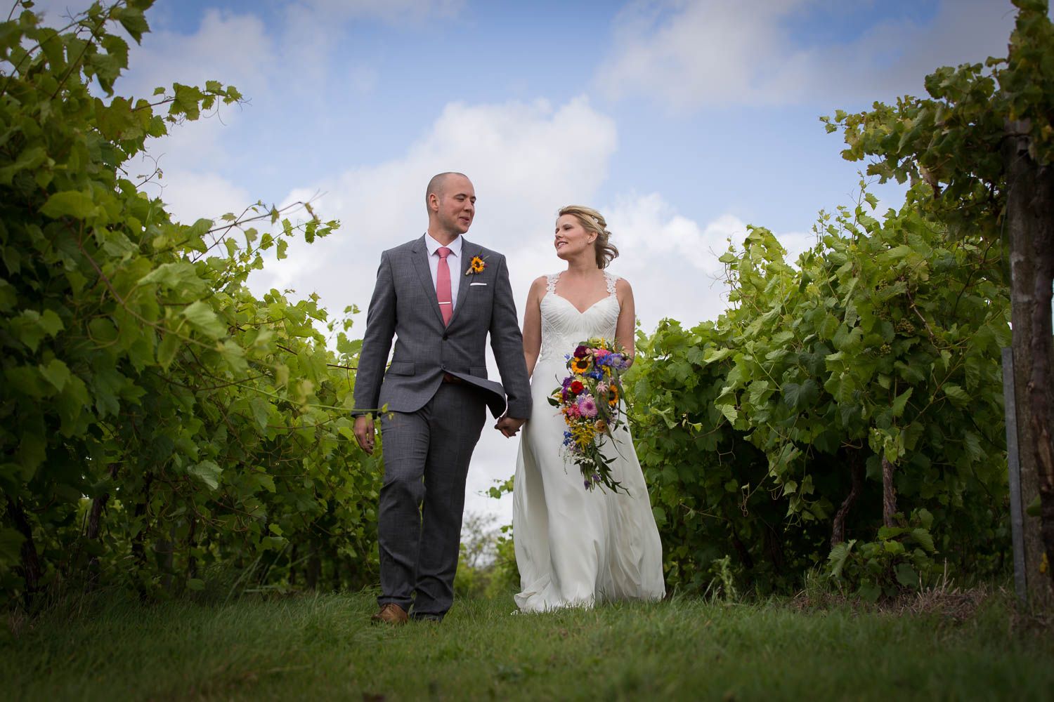 A couple walks hand in hand through lush green vineyard rows on their wedding day.