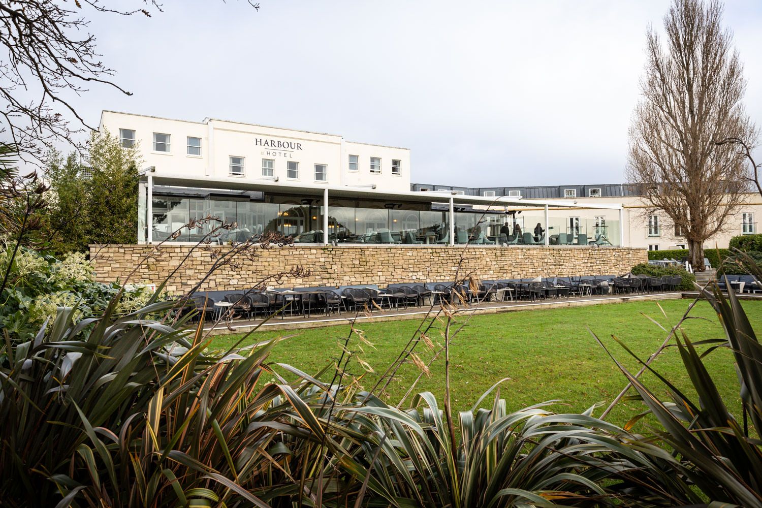 Modern white building with glass facade and landscaped garden featuring ornamental grasses and lawn in the foreground.