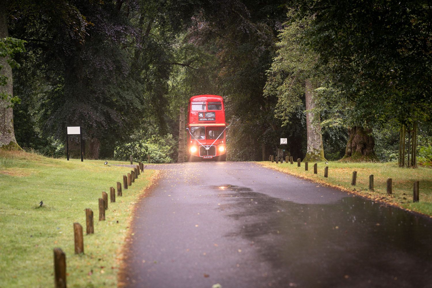 A classic red double-decker bus drives down a tree-lined road with wooden posts marking the path.