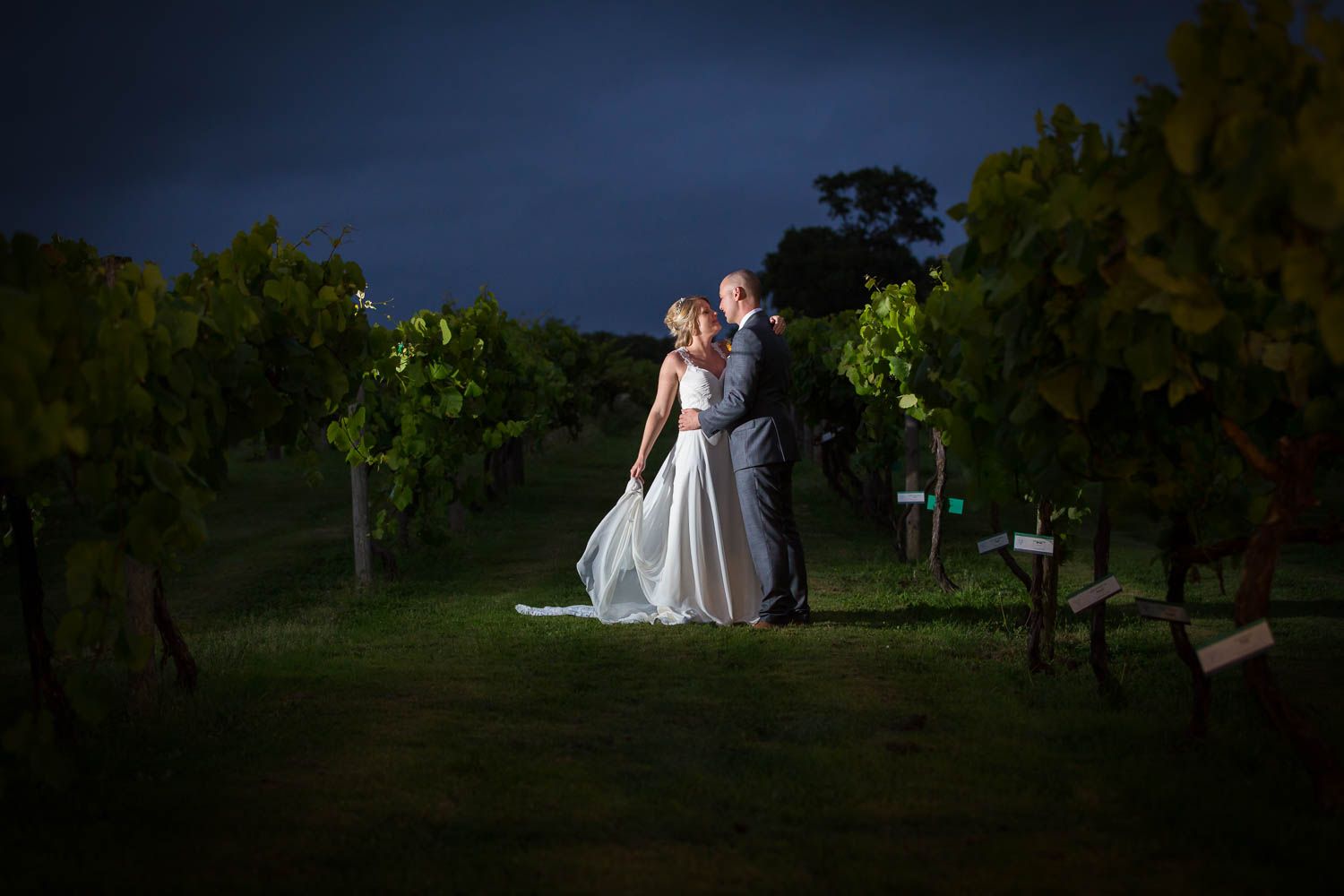 A romantic wedding portrait taken at night in a vineyard with dramatic lighting highlighting the newlyweds.