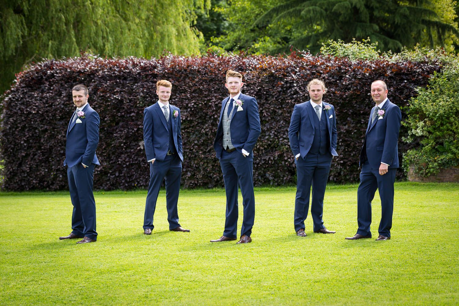 Groomsmen in matching navy blue suits standing in a line on a green lawn with hedge background.