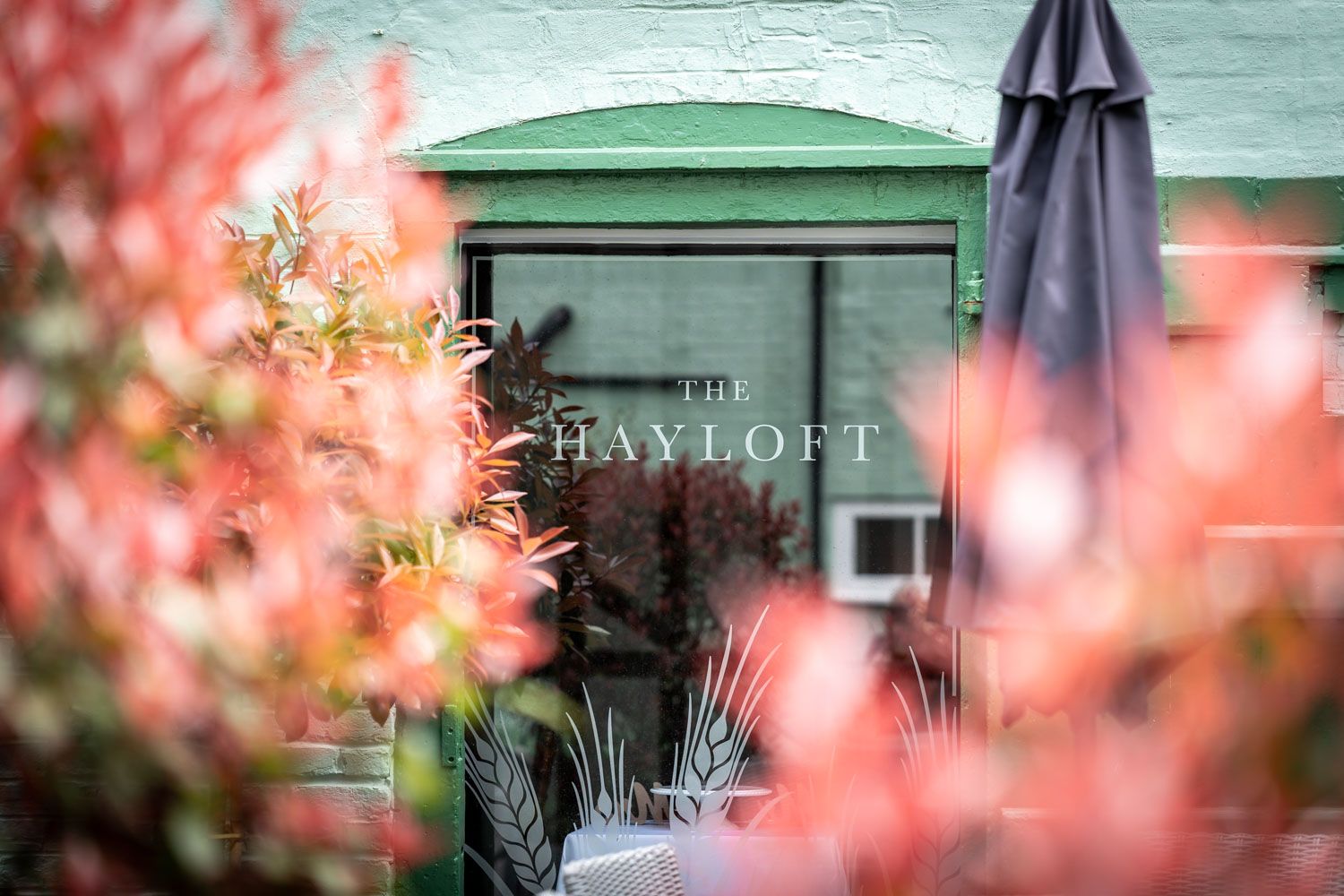 Bayflower restaurant storefront viewed through pink blossoms with green awning and blue umbrella.