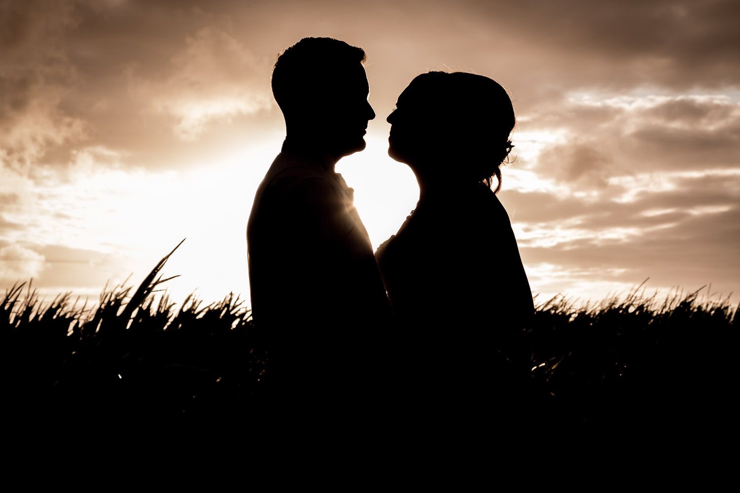 Silhouetted couple in profile against dramatic sunset sky with grass in foreground.