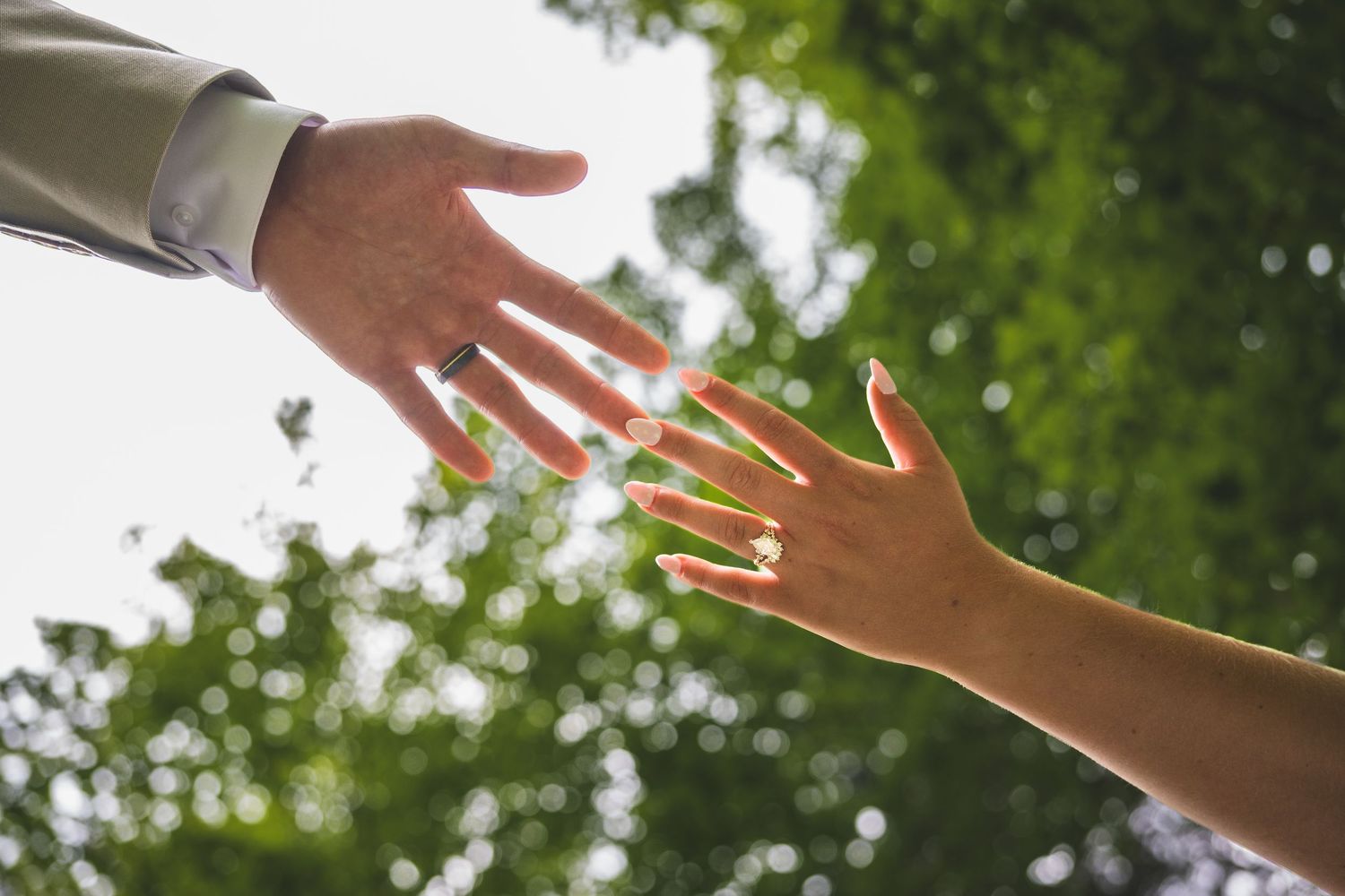 Two hands with wedding rings reaching toward each other against a blurred green tree canopy and bright sky.