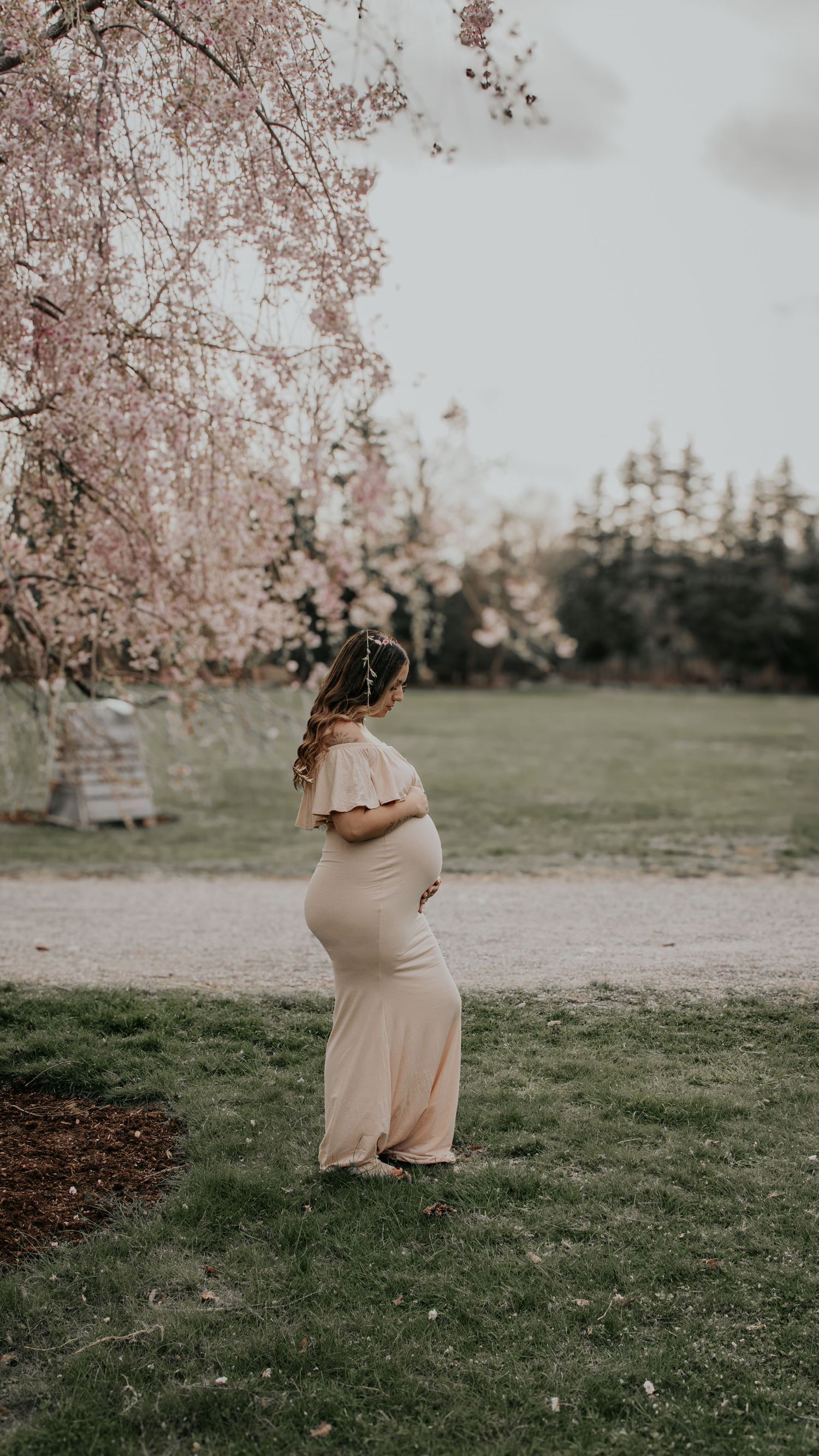 Expectant mother in flowing dress stands beneath blooming cherry blossoms in a spring garden.