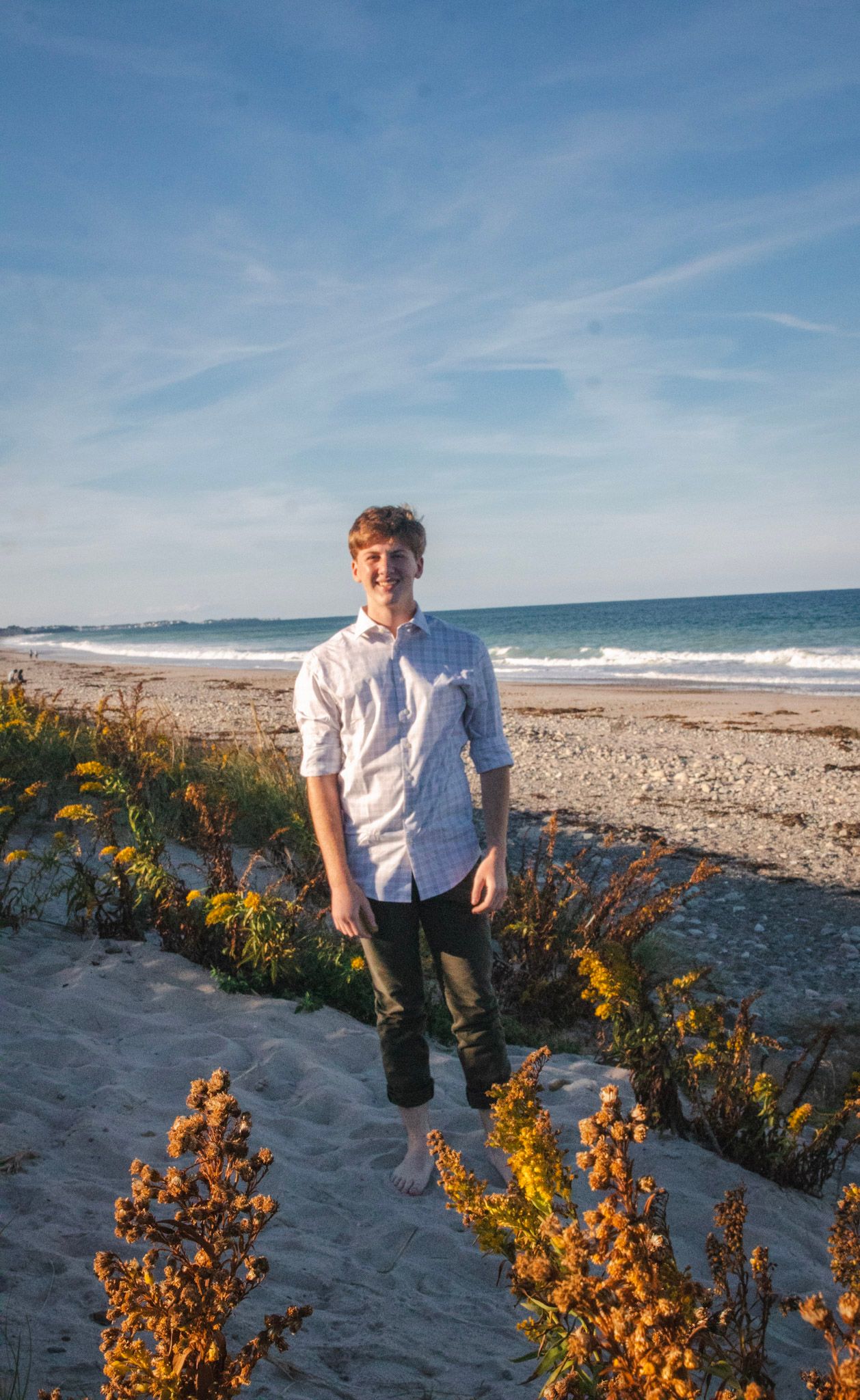 A beachside scene with yellow wildflowers growing along the sand dunes against a bright blue ocean backdrop.
