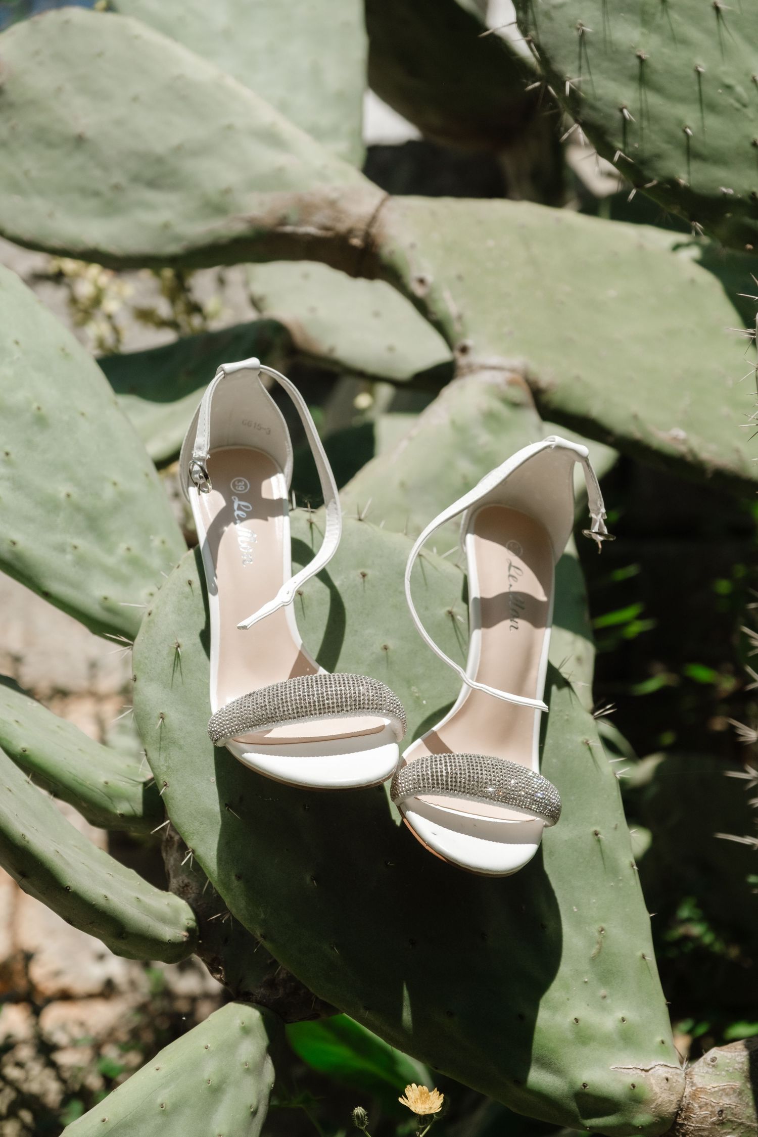 White bridal heels with crystal embellishments resting on green prickly pear cactus pads outdoors.